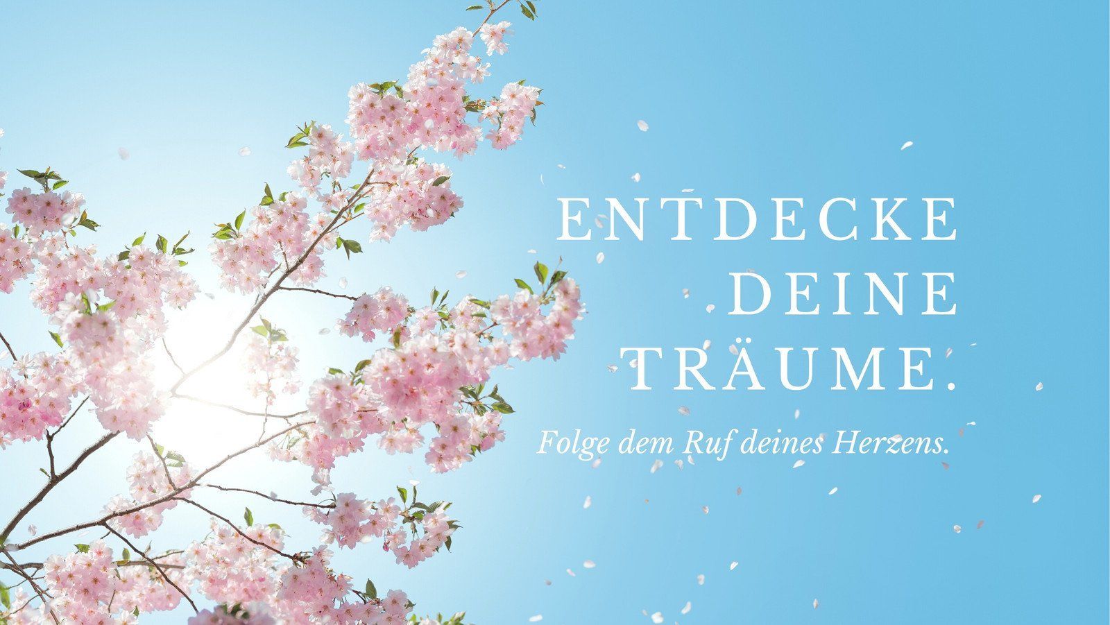 Entdecke deine Träume, Spruch, Kirschblüten, Blauer Himmel, Frühling, HD, Laptop-Hintergrundbild