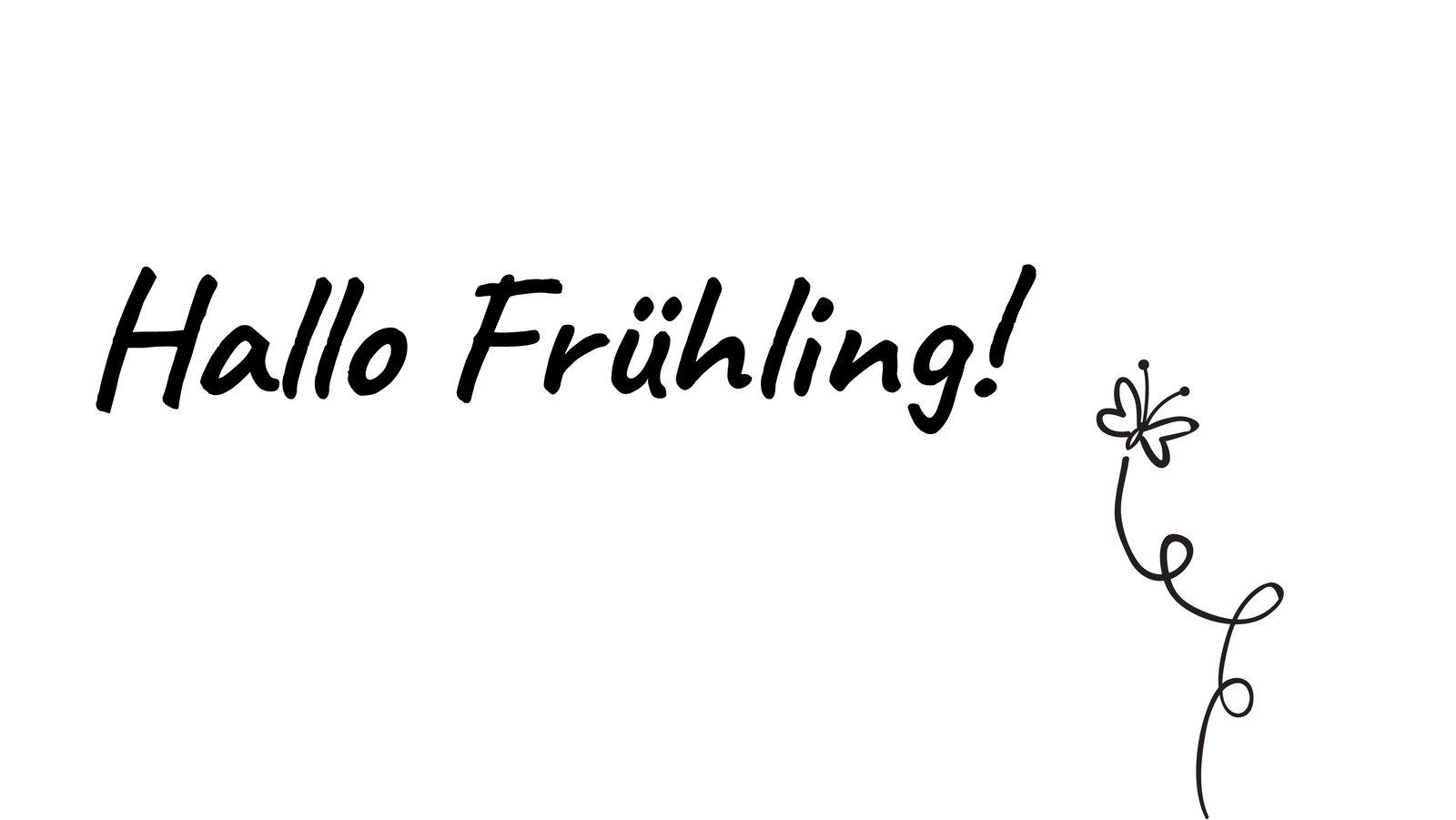 Hallo Frühling, Handschrift, Weißer Hintergrund, Blume, Minimalismus, HD Wallpaper