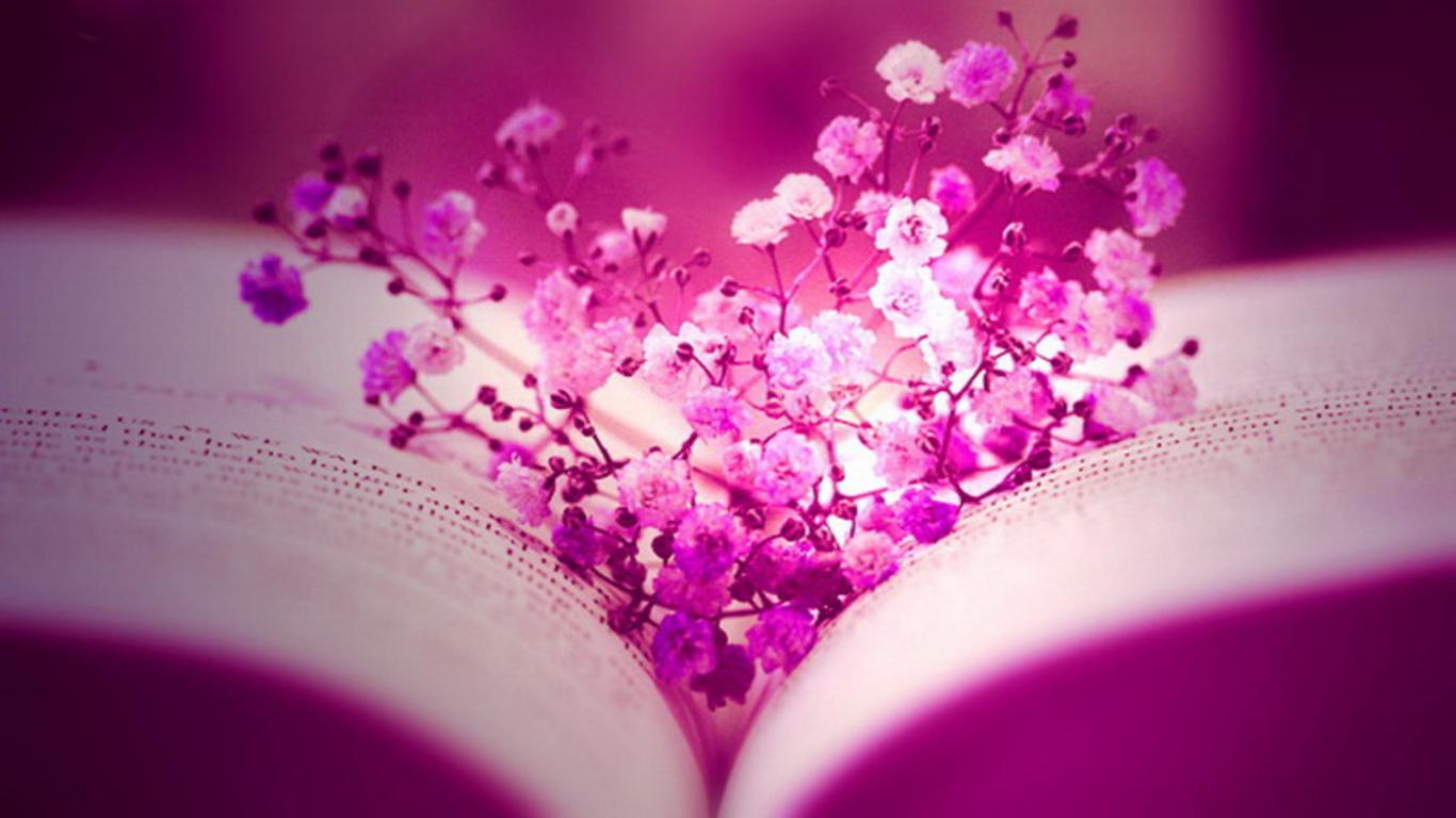 Rosa Blüten, Buch, Herzform, Magenta, Nahaufnahme, 16:9, HD-Hintergrundbild für den Desktop