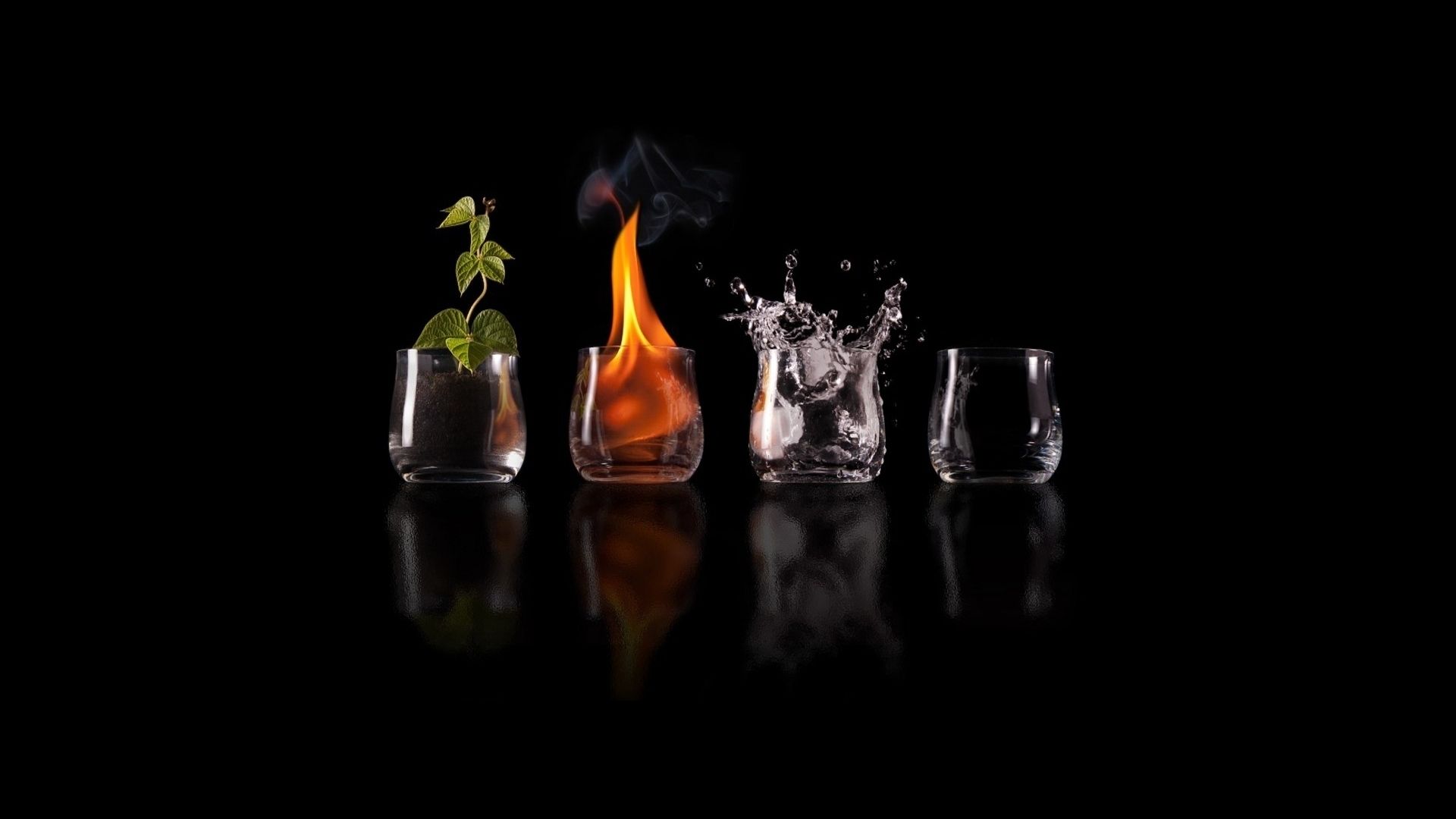 Vier Elemente, Feuer, Wasser, Pflanze, Gläser, Schwarzer Hintergrund, Full HD Wallpaper