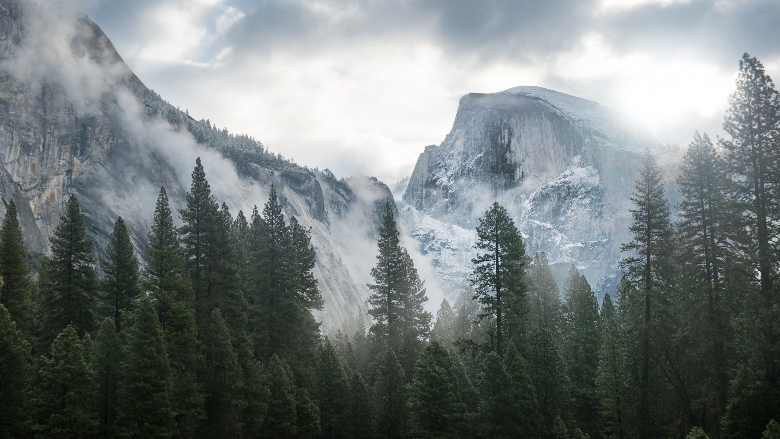 Half Dome, Yosemite-Nationalpark, Kalifornien, Nadelwald, Nebel, 2K, PC-Hintergrundbild