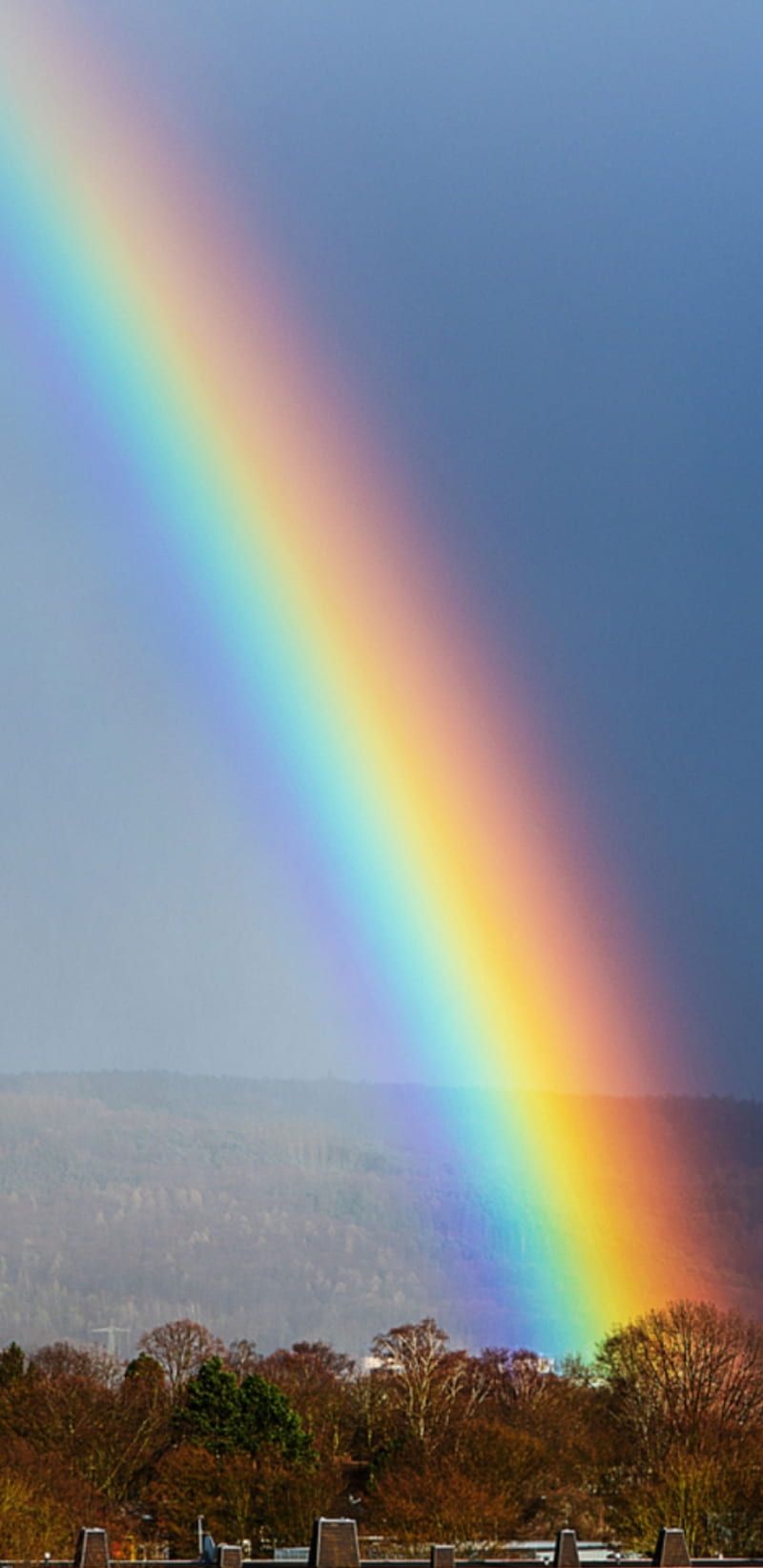 Regenbogen, Himmel, Landschaft, Bäume, Hochformat, HD, Hintergrundbild fürs Handy