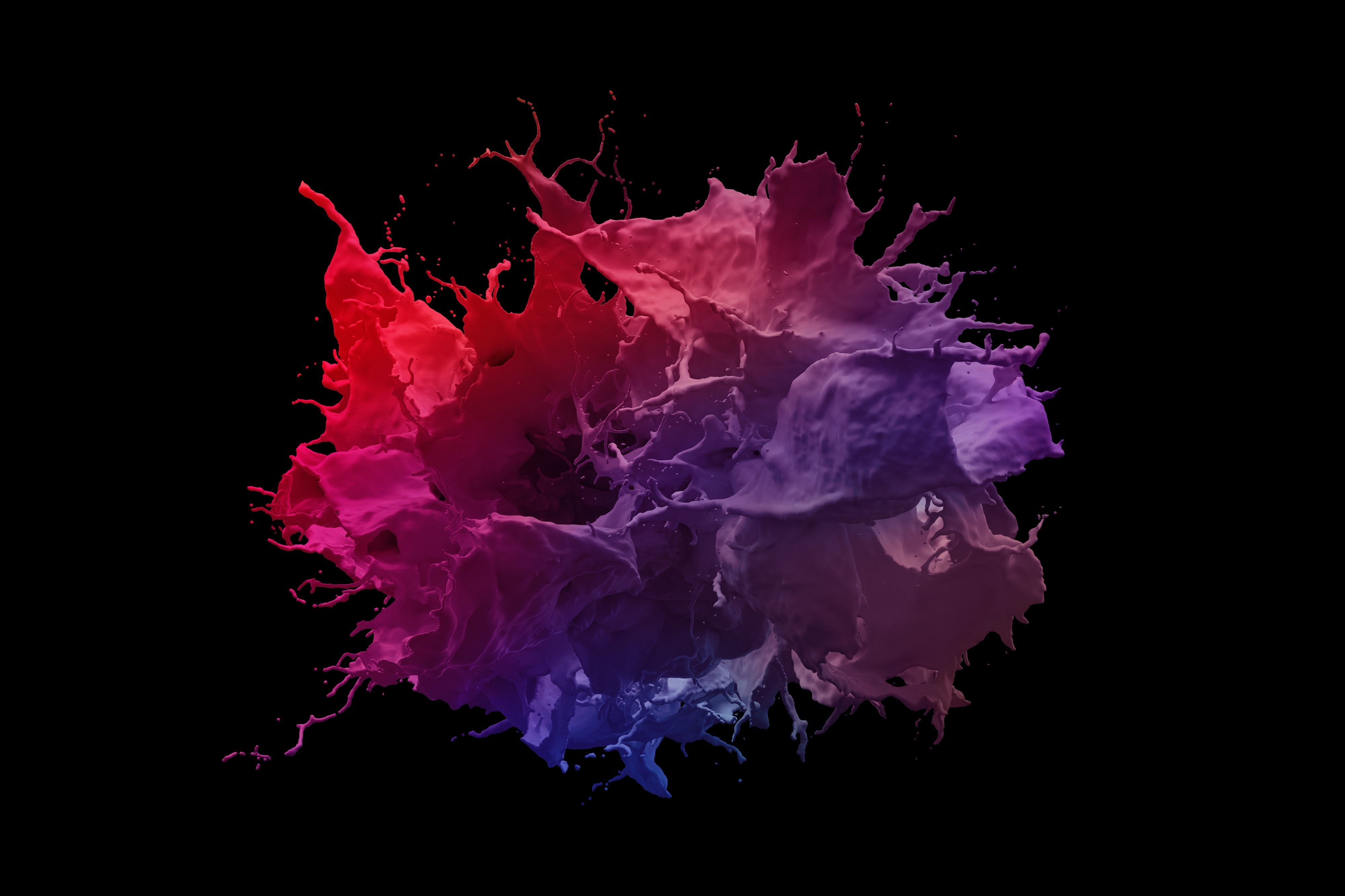 Farbexplosion, Pulver, Rot, Lila, Schwarzer Hintergrund, 4K Wallpaper