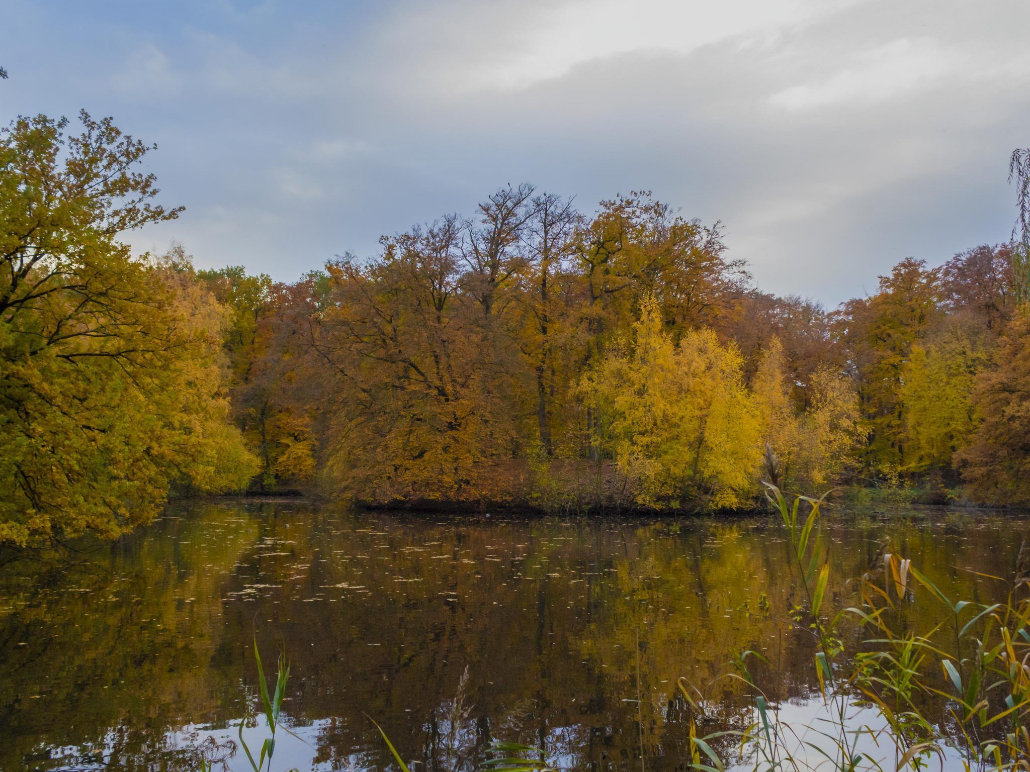 Herbstwald, See, Herbst, Bäume, Landschaft, Full HD, Hintergrundbild fürs Tablet