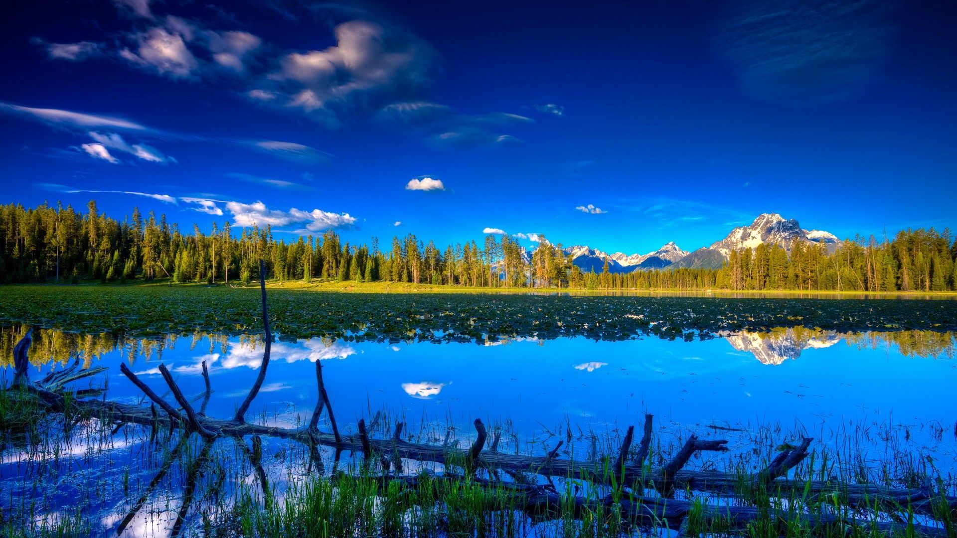 See, Spiegelung, Wald, Berge, Blauer Himmel, Full HD 1080p, Desktop-Hintergrundbild