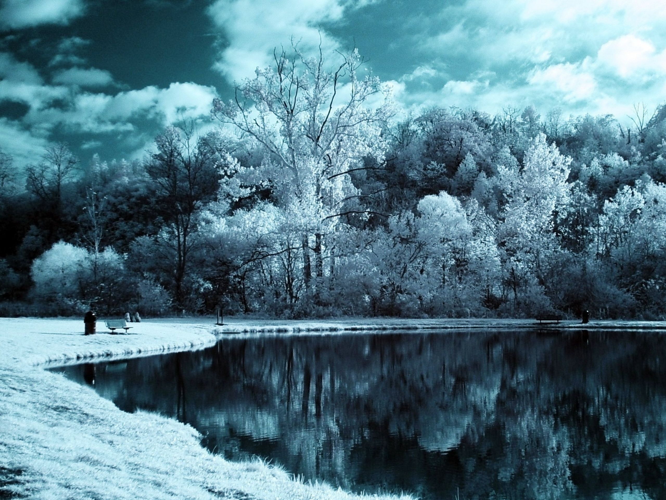 Infrarotfotografie, See, Bäume, Winter, Spiegelung, 2K, Hintergrundbild fürs Tablet