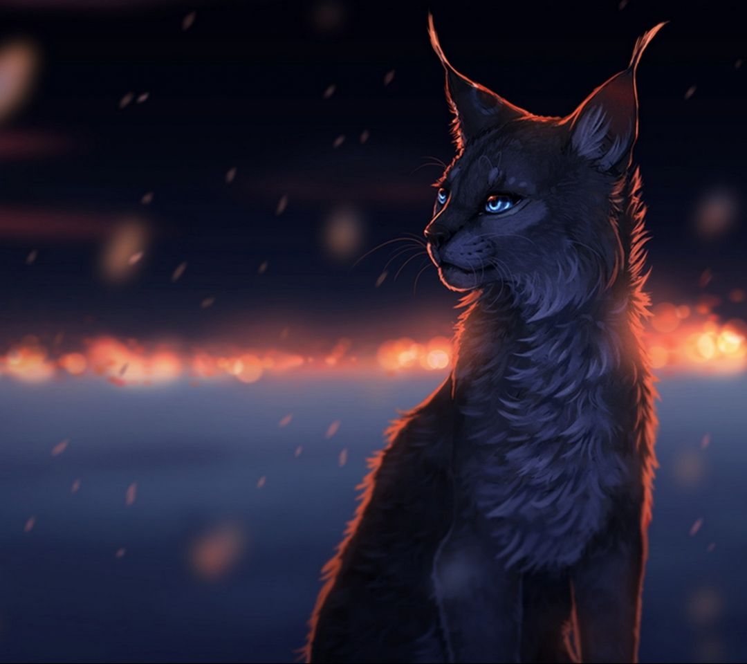 Luchs, Katze, Digitale Kunst, Nacht, Glut, Hintergrundbild für iPad und Tablet
