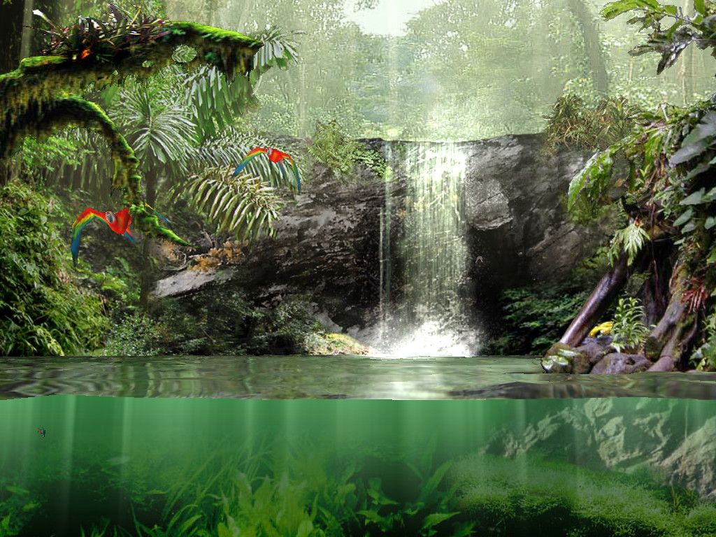 Wasserfall, Dschungel, Papageien, Regenwald, Grün, Hintergrundbild für iPad und Tablet