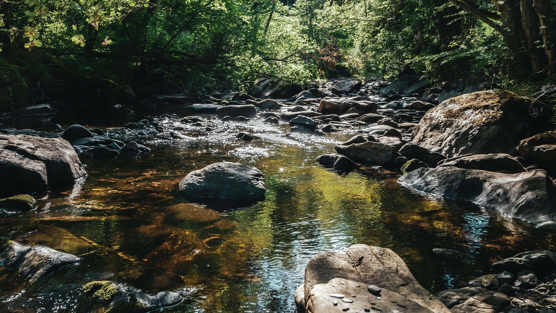 Bach, Steine, Wald, Natur, 1920x1080, Full-HD-Hintergrundbild für PC