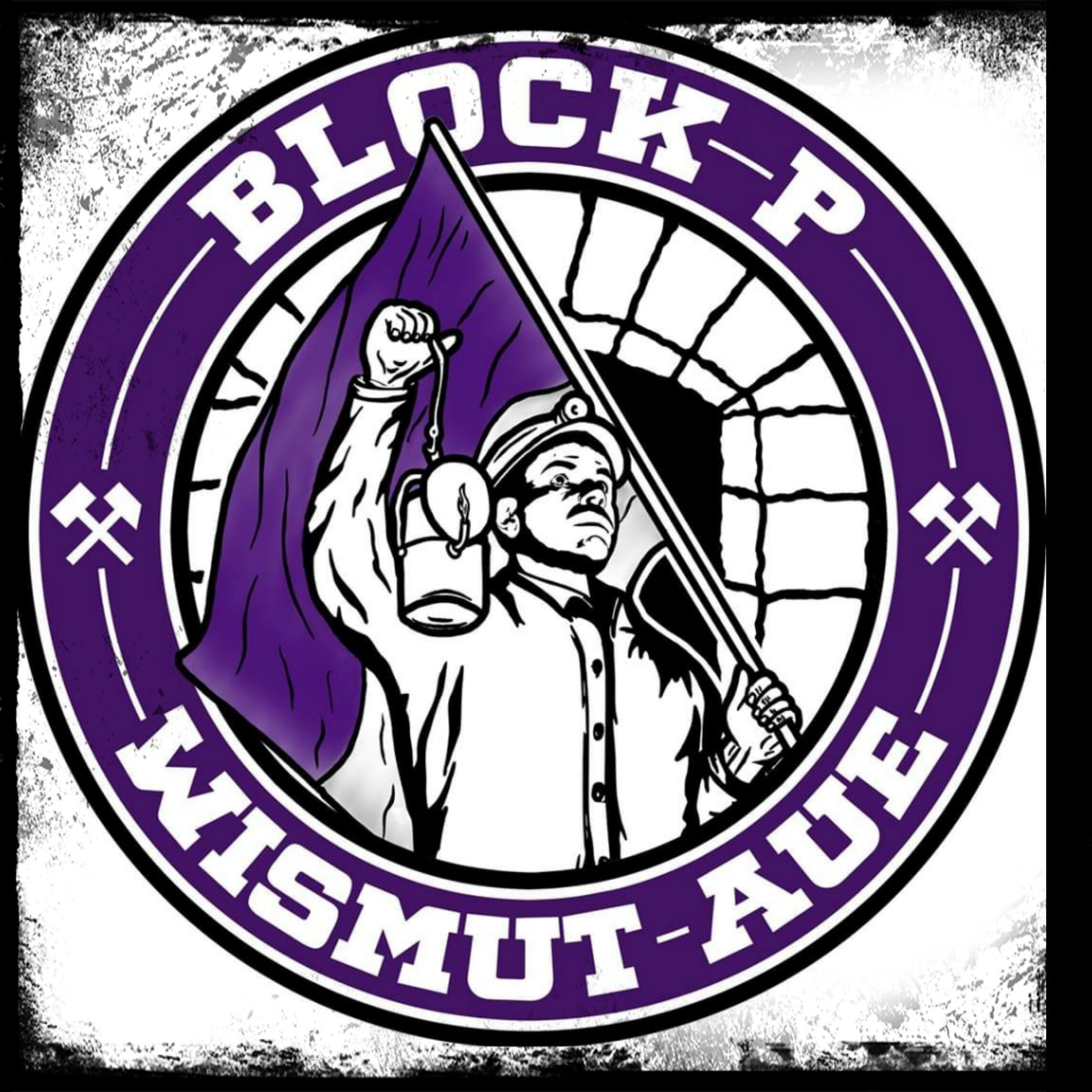 Block P, Wismut Aue, Fanlogo, Fahne, Ultras, Full HD, iPad-Hintergrundbild