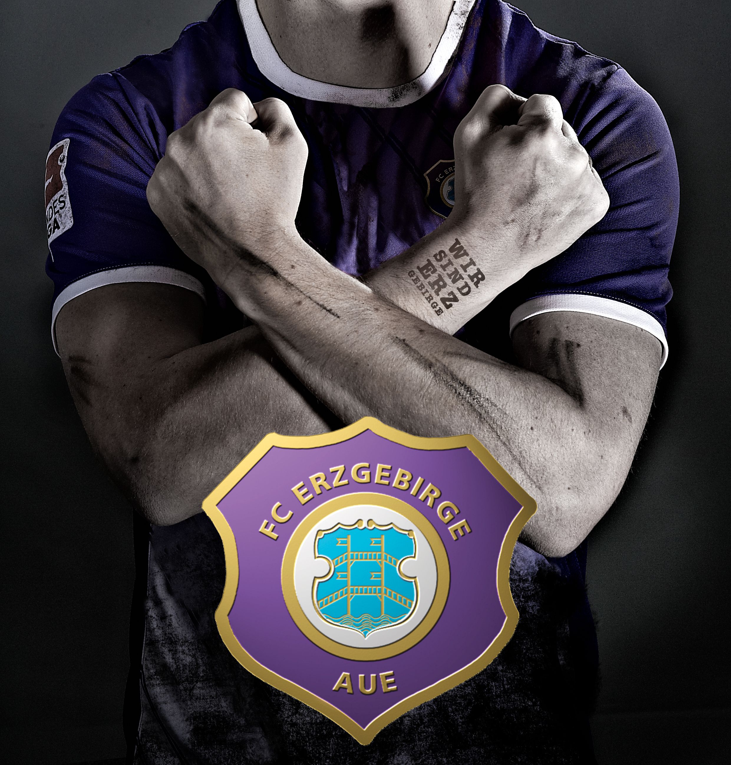 FC Erzgebirge Aue, Trikot, Verschränkte Arme, Wappen, Spieler, 2K, Tablet-Hintergrund