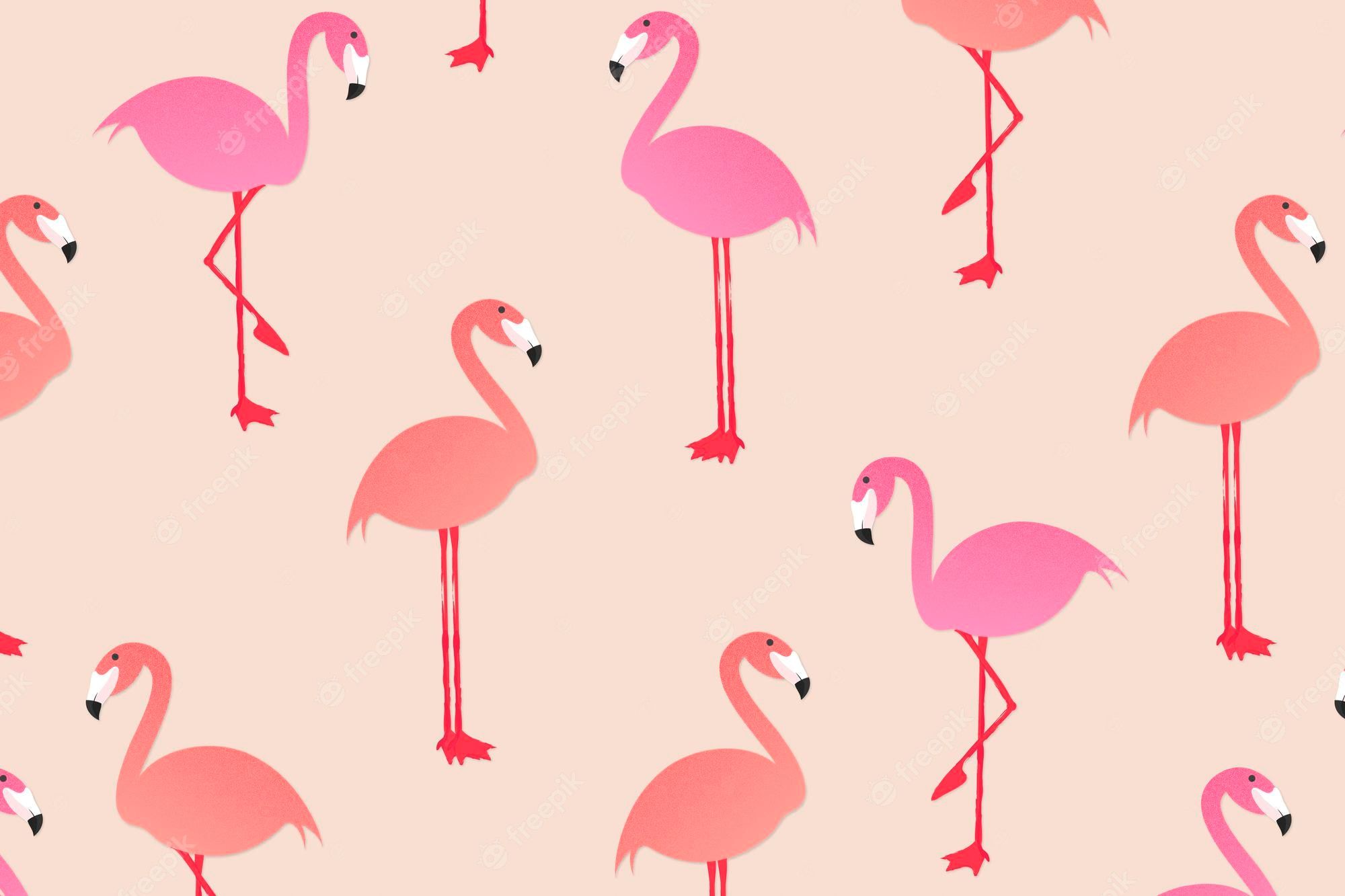 Flamingomuster, Illustration, Pastell, Pfirsich und Pink, Full-HD-Hintergrundbild für PC