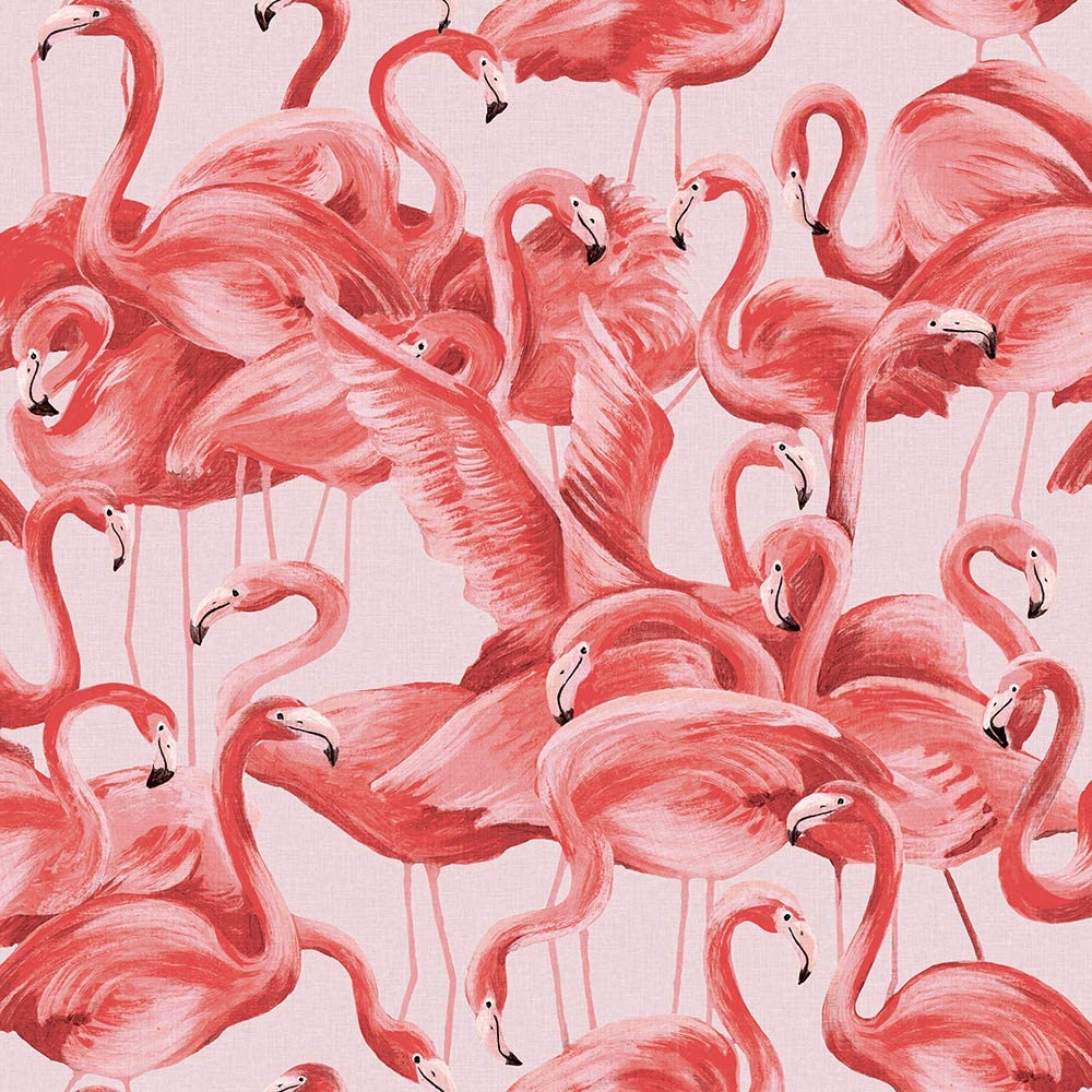 Flamingos, Muster, Illustration, Korallenrot, Hintergrundbild für iPad und Tablet