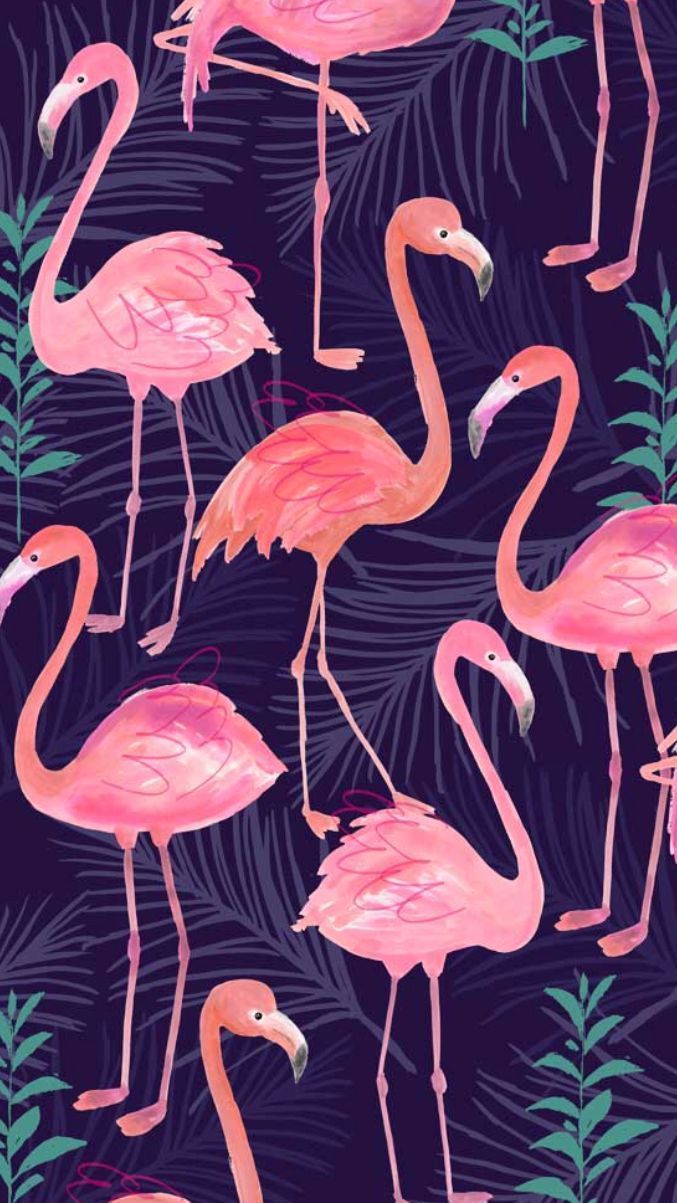 Flamingomuster, Dunkelblauer Hintergrund, Illustration, Tropenblätter, Sperrbildschirm fürs iPhone