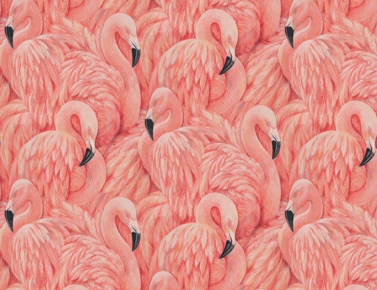 Flamingos, Gemälde, Lachsfarben, Federn, Gruppe, Hintergrund