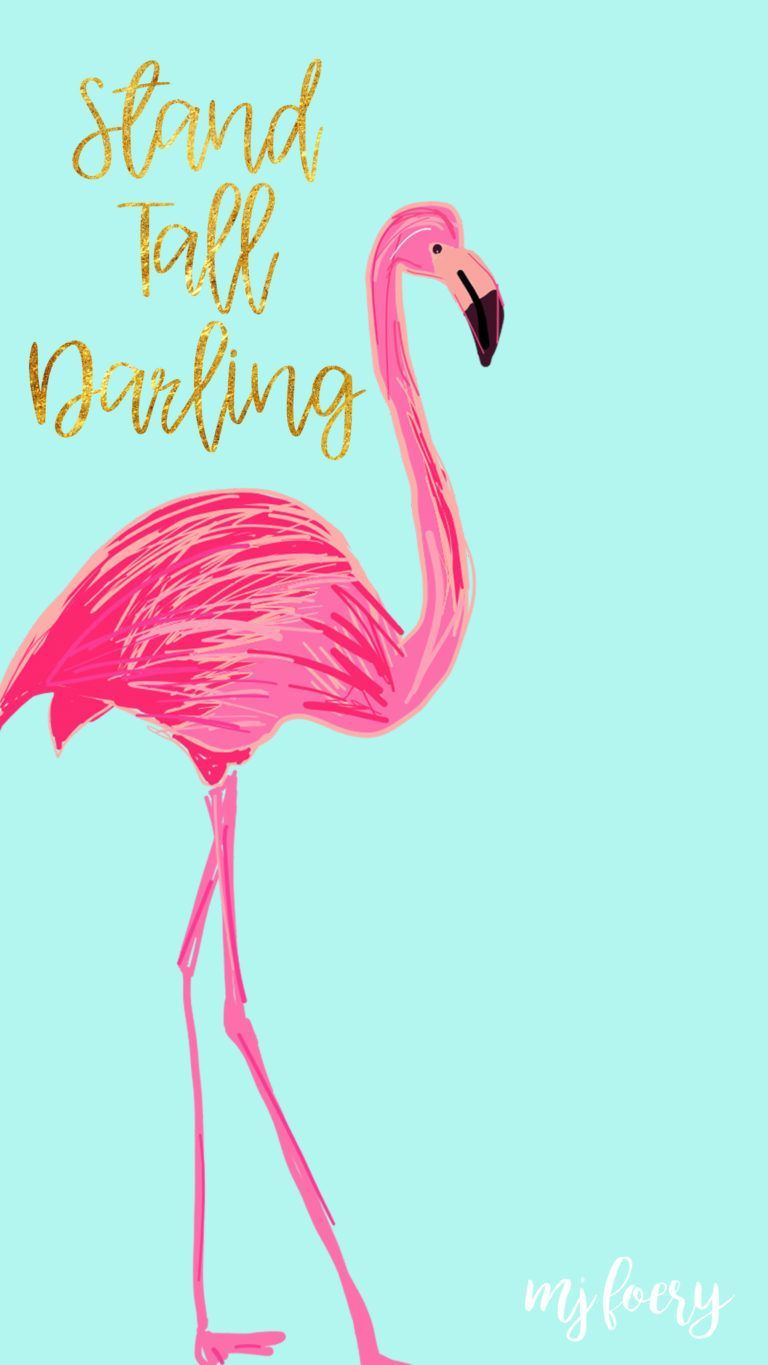 Stand Tall Darling, Flamingo, Typografie, Mintgrün, Illustration, HD, iPhone-Hintergrundbild