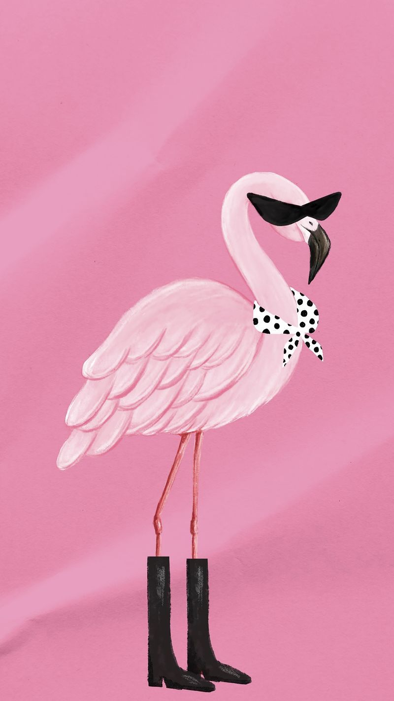 Flamingo, Sonnenbrille, Stiefel, Illustration, Rosa Hintergrund, Lustig, Sperrbildschirm fürs iPhone