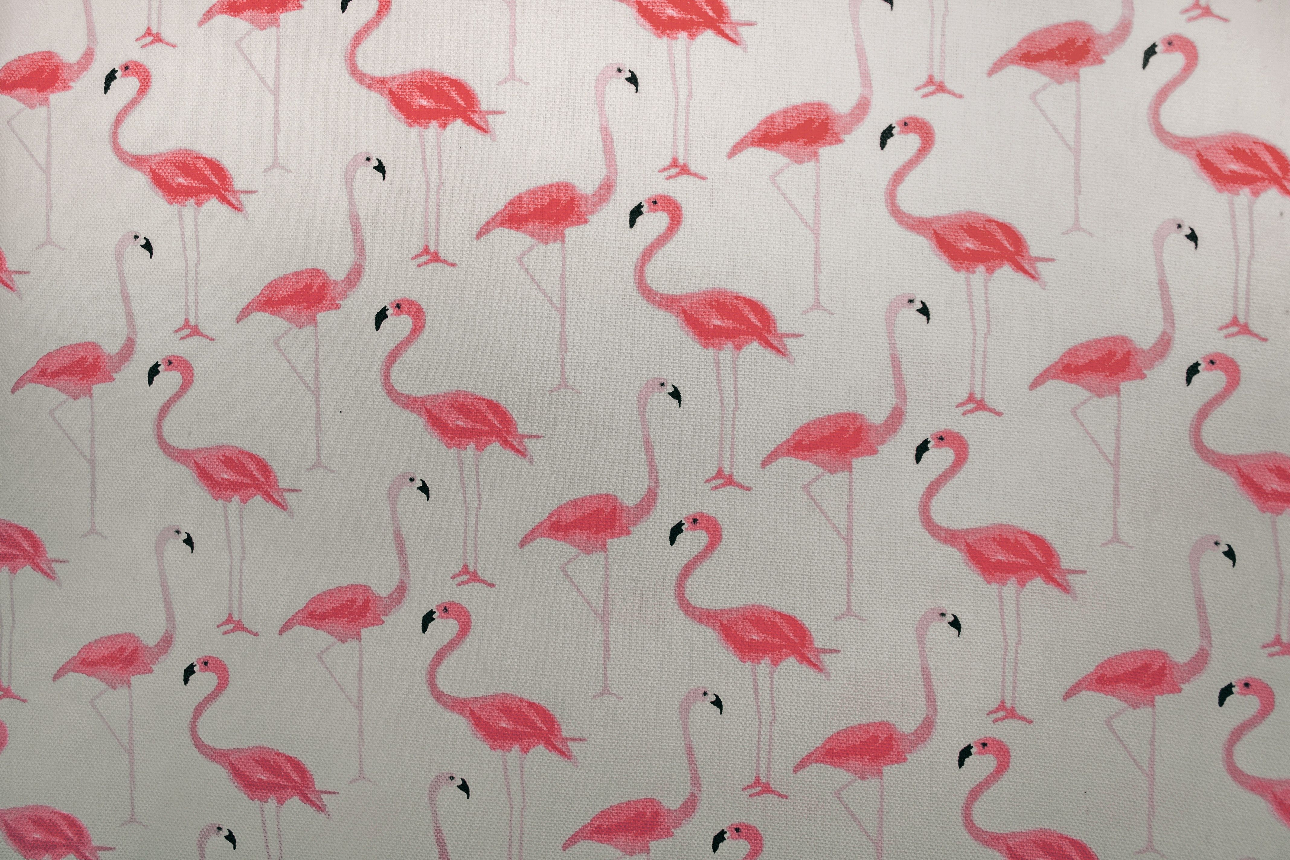 Flamingomuster, Grauer Hintergrund, Illustration, Rosa, 4K Wallpaper