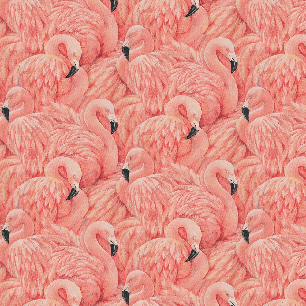 Flamingos, Muster, Korallenrot, Gemälde, Federn, Hintergrundbild für iPad und Tablet