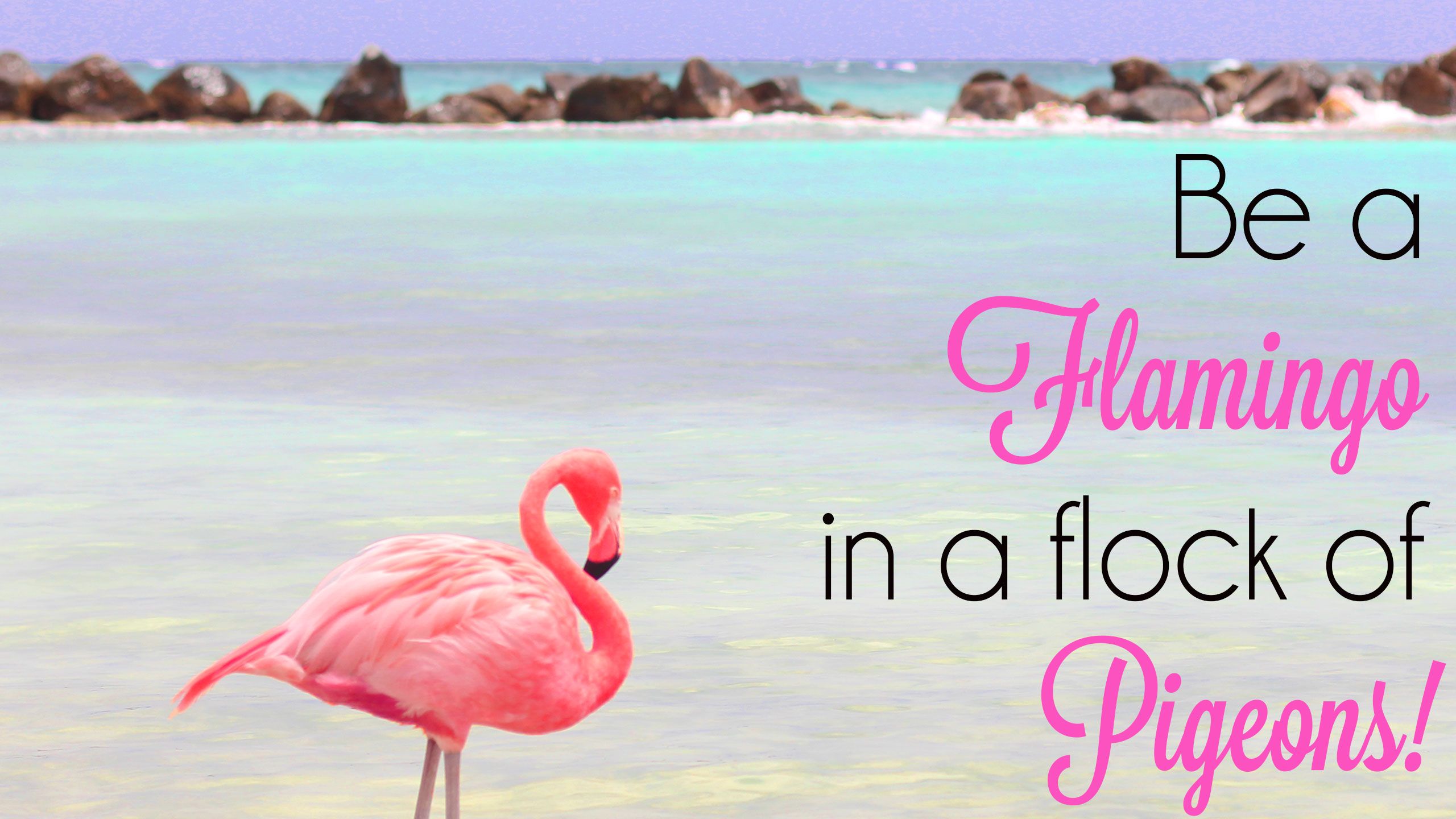 Be a Flamingo in a Flock of Pigeons, Zitat, Strand, Türkises Meer, Typografie, 2K-Hintergrundbild