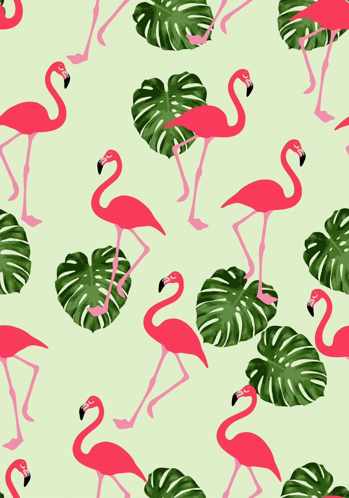 Flamingos, Monstera-Blätter, Muster, Hellgrüner Hintergrund, Full HD Wallpaper