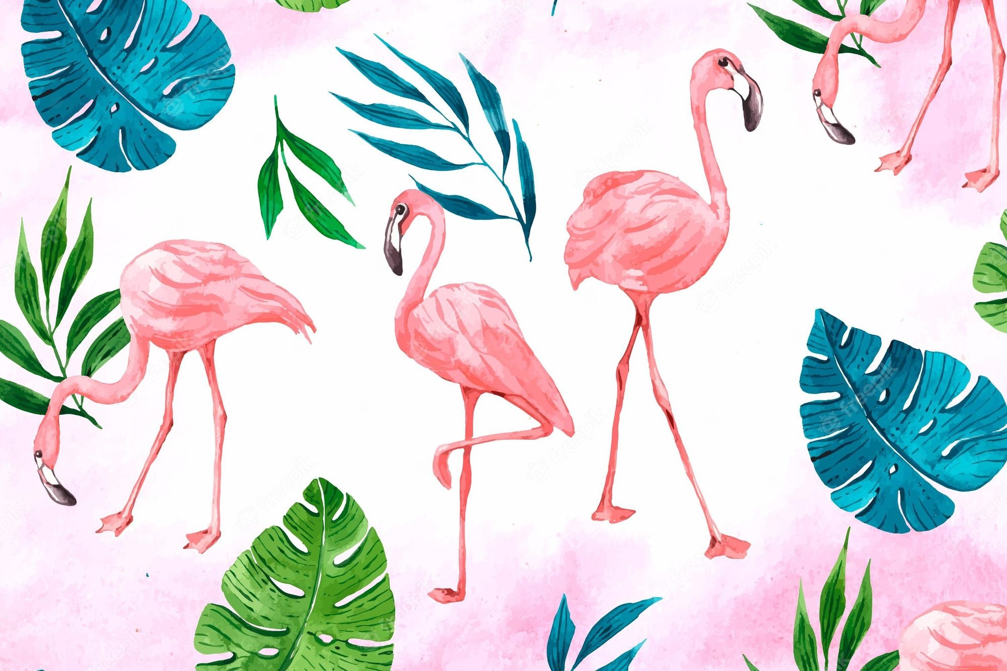 Flamingos, Aquarell, Palmblätter, Weißer Hintergrund, Full HD Wallpaper