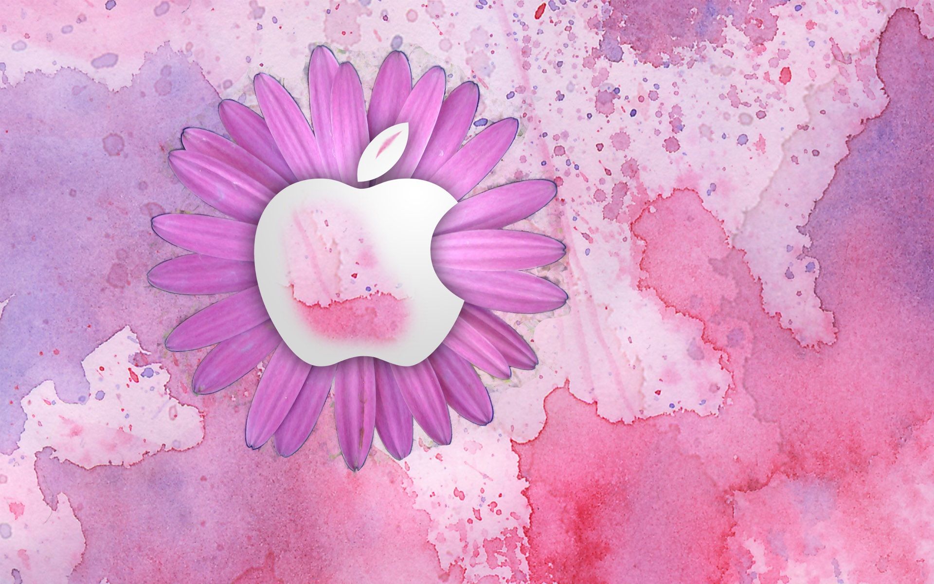 Apple-Logo, Blume, Aquarell, Rosa, Lila, 16:10, Full-HD-Hintergrundbild für den Desktop