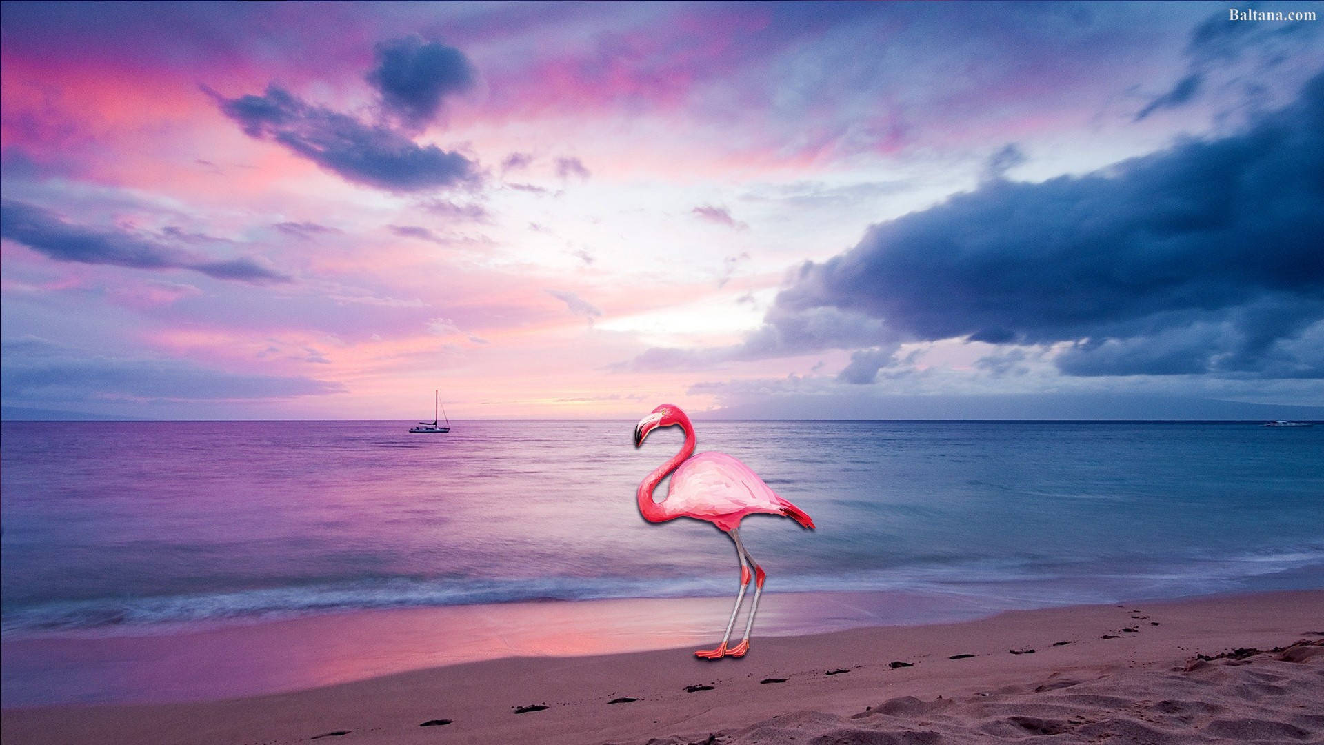Flamingo, Strand, Sonnenuntergang, Lila Himmel, Segelboot, Meer, 1920x1080, Desktop-Hintergrund