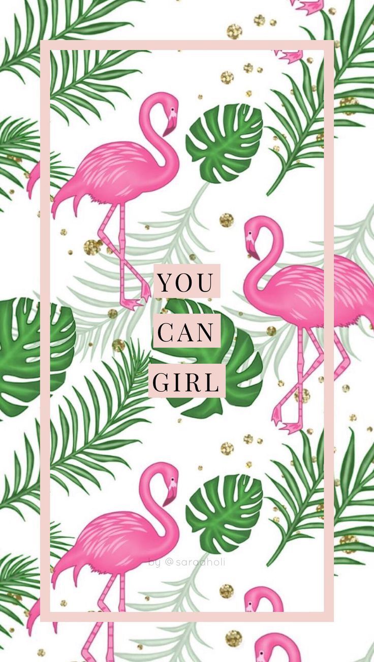 You Can Girl, Flamingos, Tropenblätter, Rahmen, Motivation, HD, Handy-Hintergrundbild