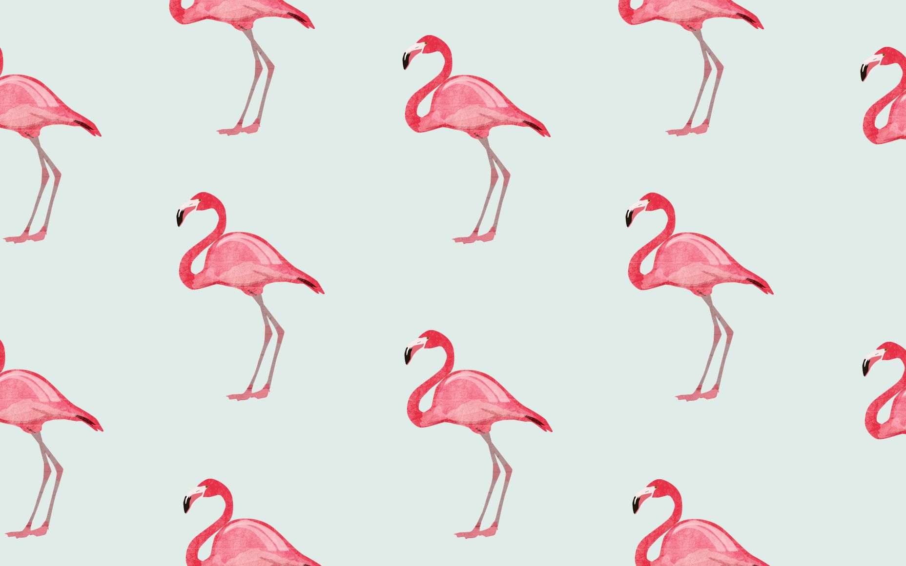 Flamingomuster, Mintgrüner Hintergrund, Illustration, Rosa, HD Wallpaper