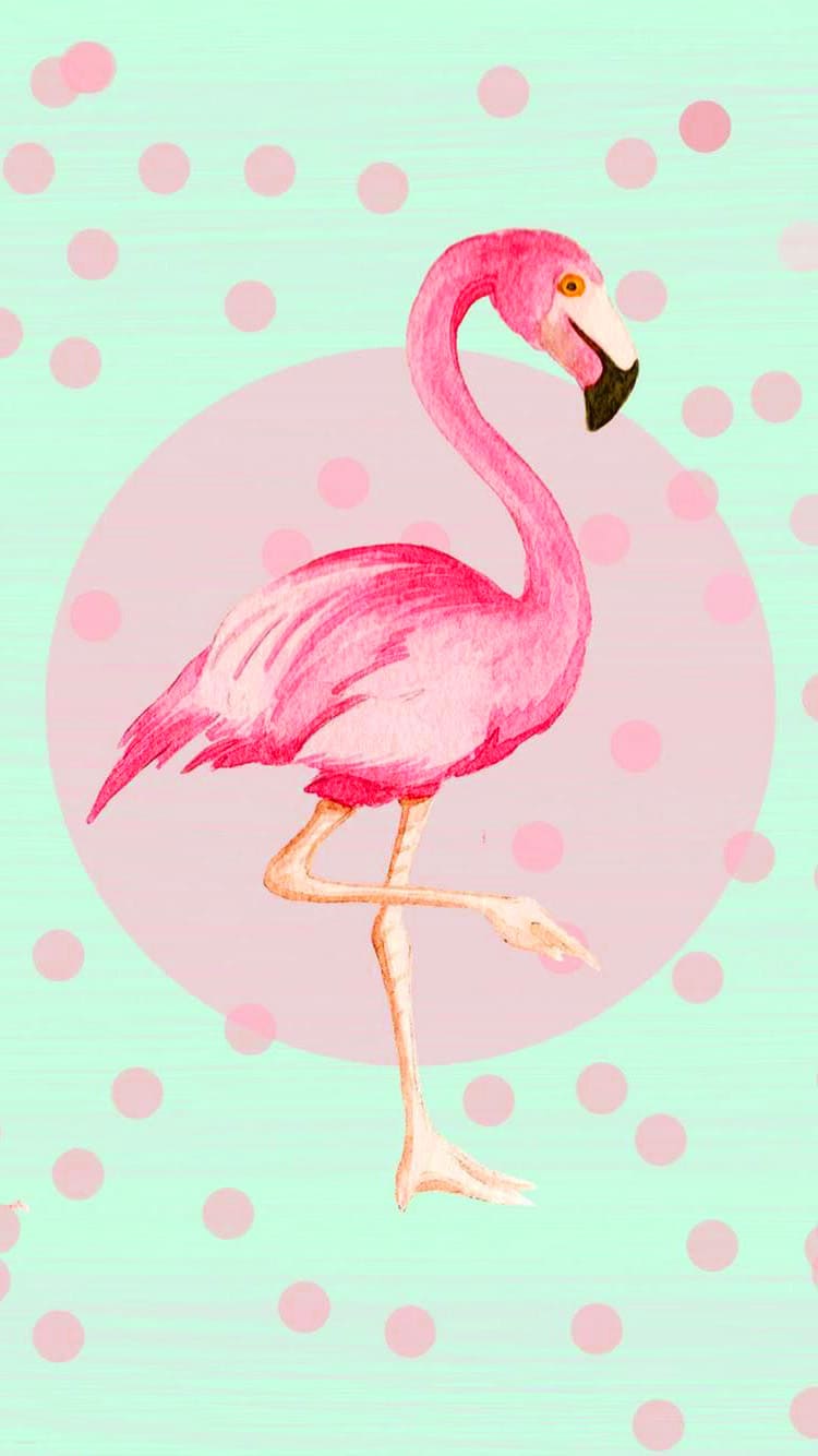 Flamingo, Rosa Kreis, Punkte, Mintgrüner Hintergrund, Illustration, Sperrbildschirm fürs iPhone