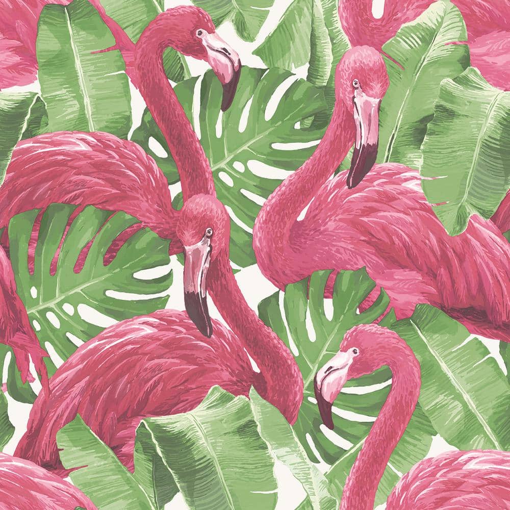 Flamingos, Monstera-Blätter, Pink und Grün, Muster, Illustration, Hintergrundbild fürs iPad