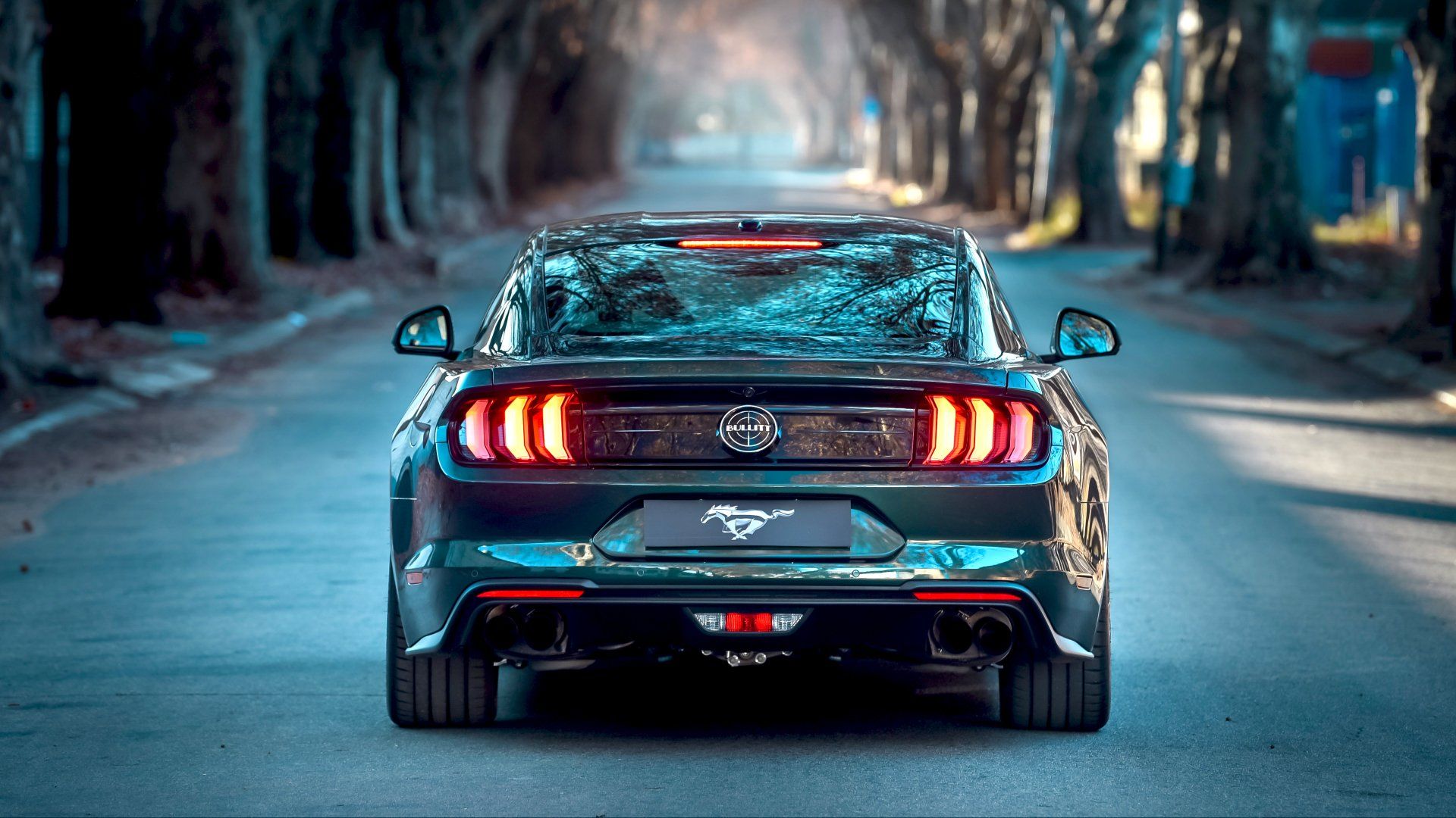 Ford Mustang, Rückleuchten, Allee, Heckansicht, Bäume, 16:9, Full-HD-Hintergrundbild für den Desktop
