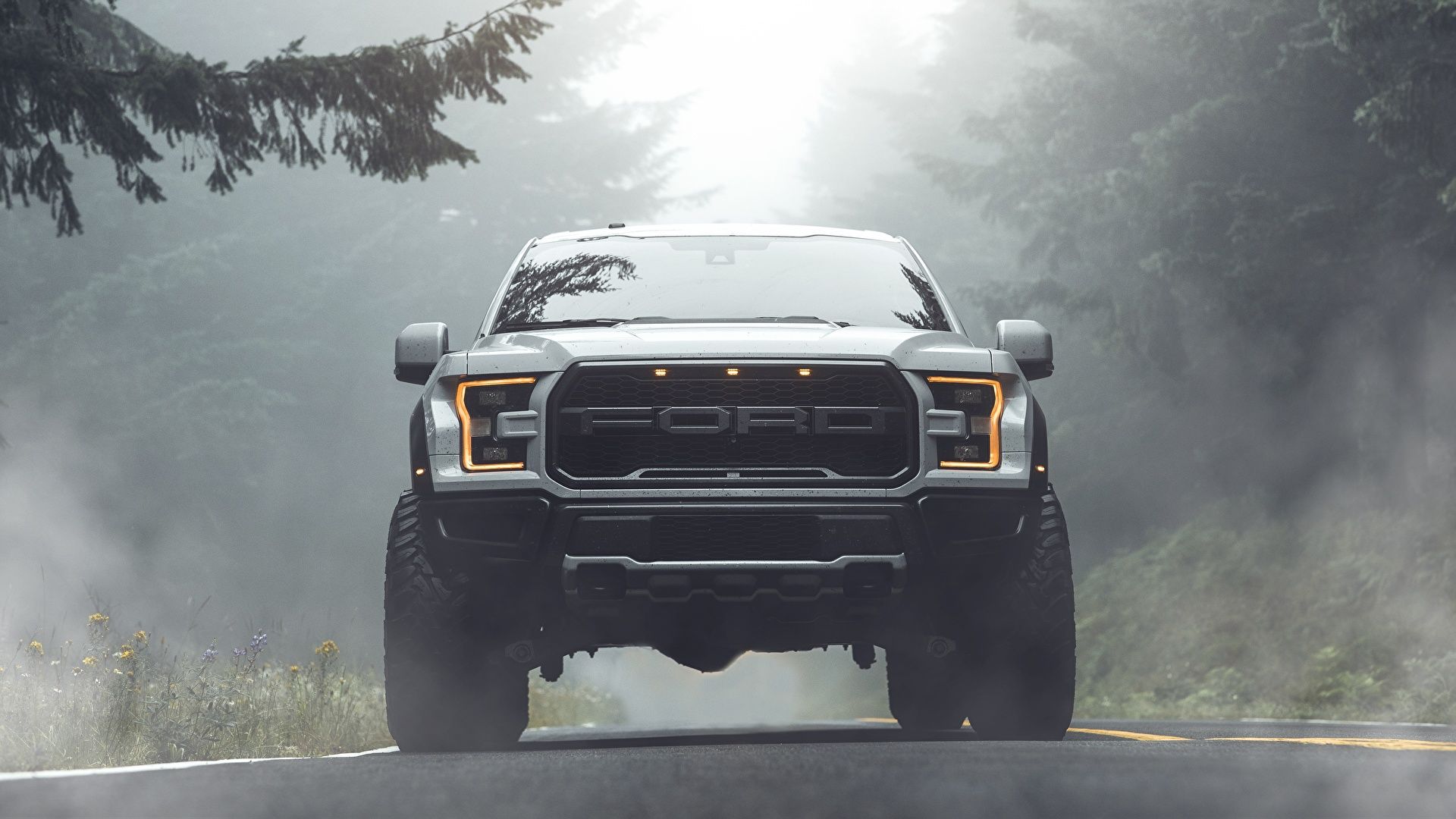 Ford F-150 Raptor, Pick-up, Nebel, Wald, Frontansicht, 1920x1080, Full-HD-Hintergrundbild für PC