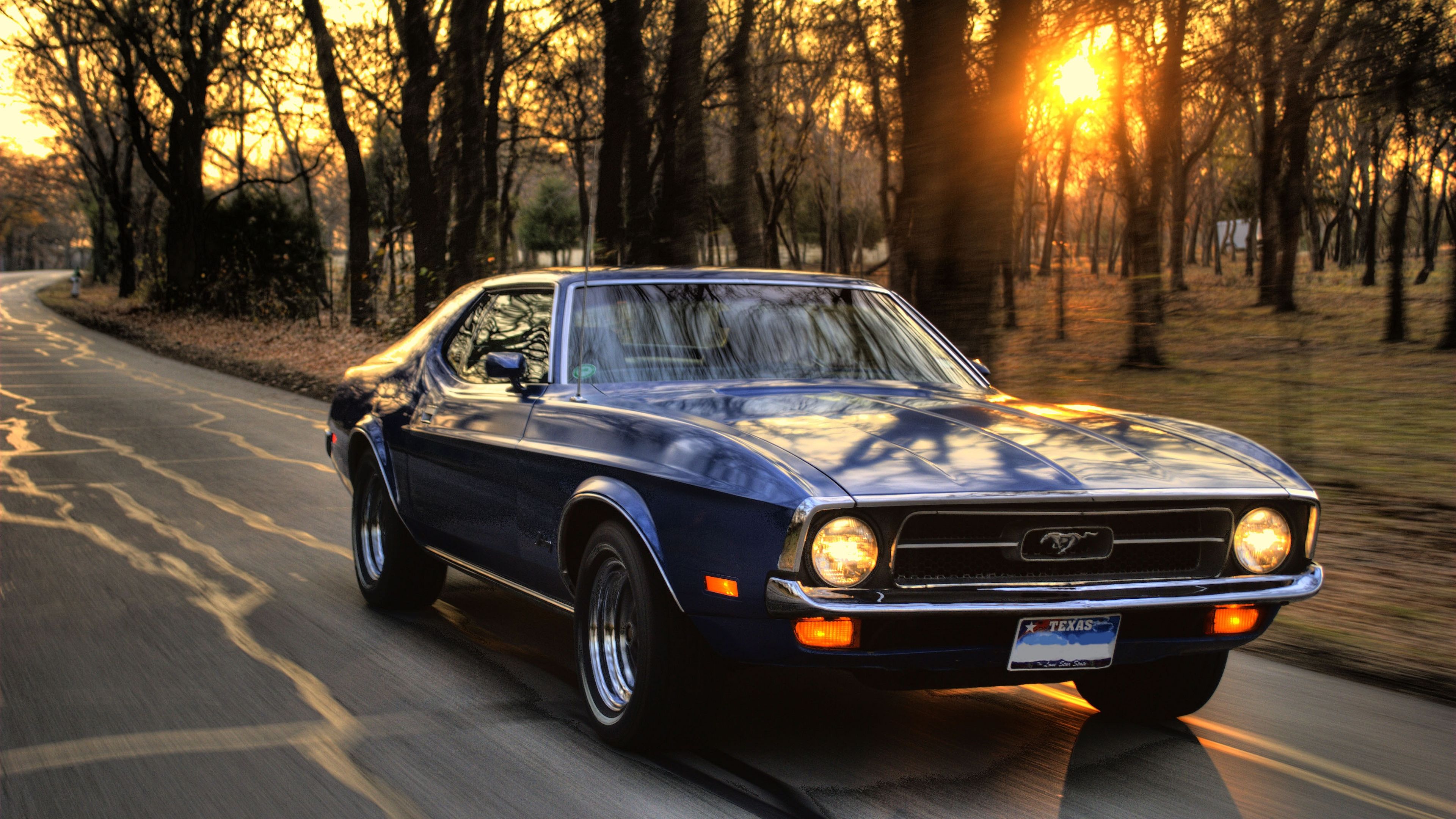 Ford Mustang, Muscle Car, Klassiker, Sonnenuntergang, Waldstraße, 4K, Laptop-Hintergrundbild