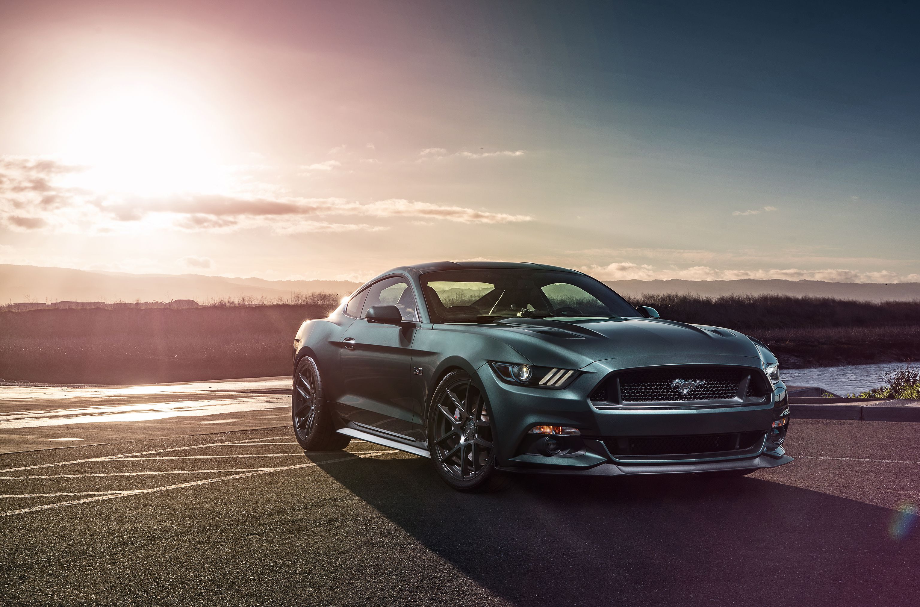 Ford Mustang, Grau, Gegenlicht, Sonnenuntergang, Küste, 2K, Hintergrund für den Desktop