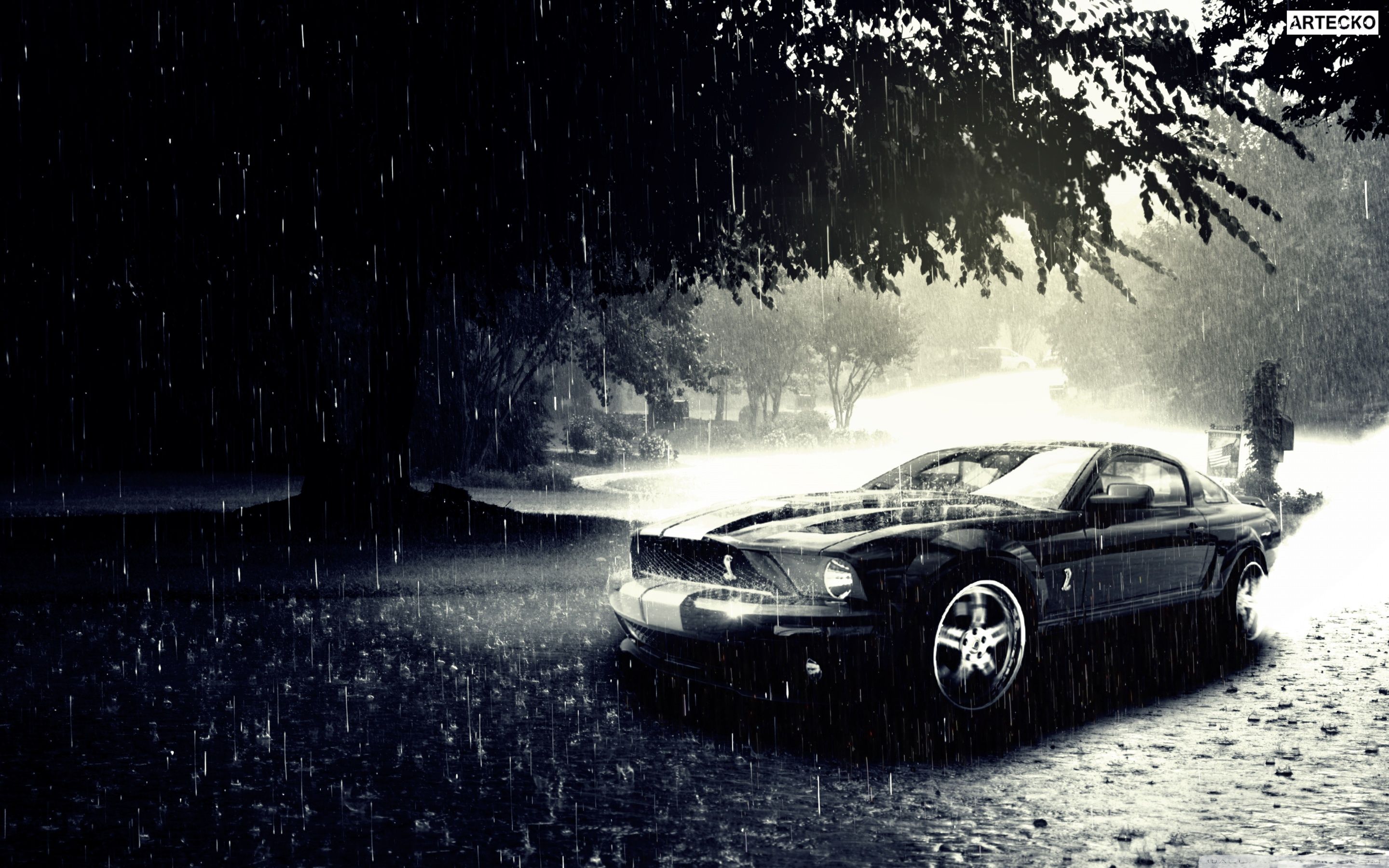 Ford Mustang, Regen, Schwarz-Weiß, Nacht, Fotomanipulation, 2K, Laptop-Hintergrundbild