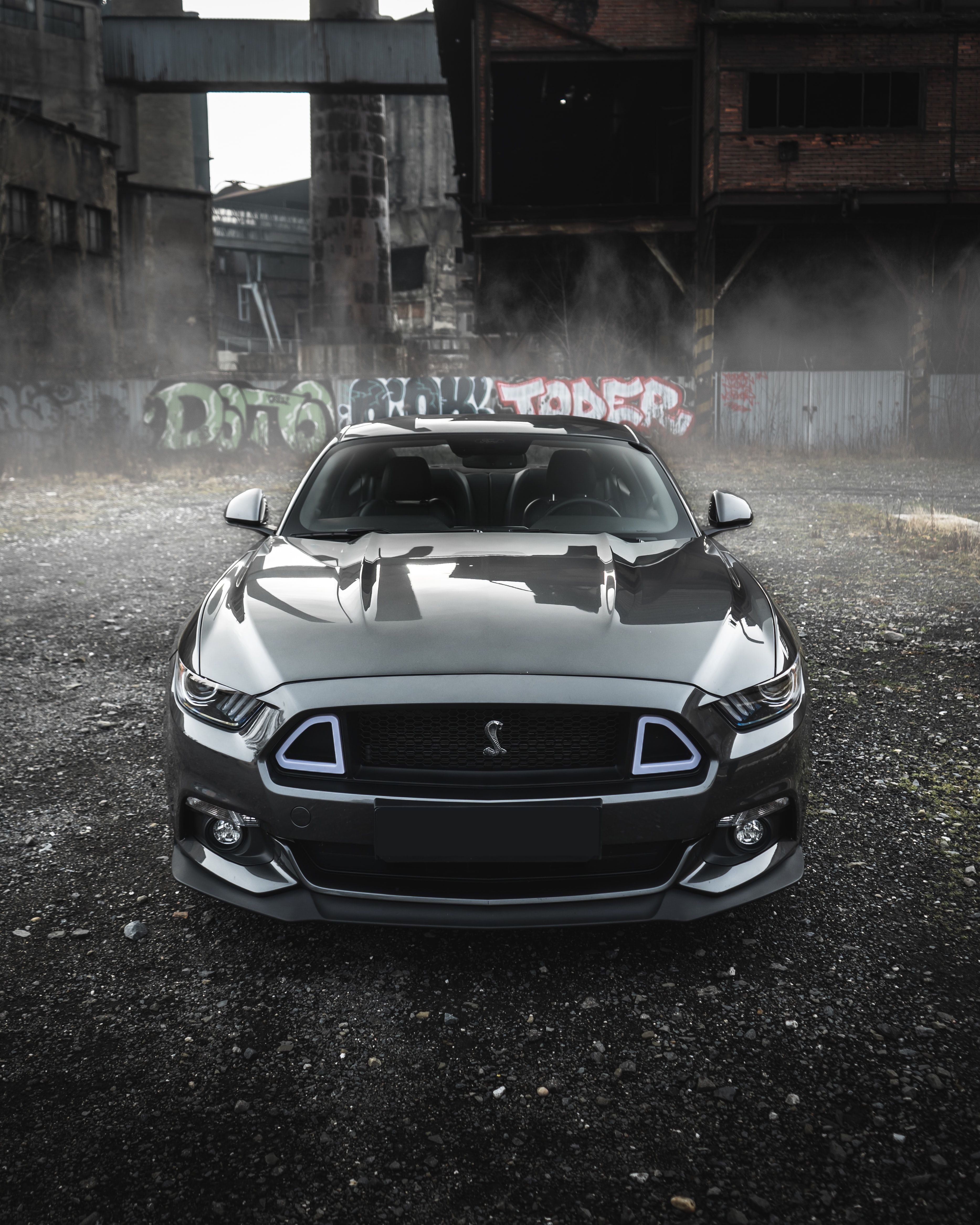 Ford Mustang, Ruine, Nebel, Grau, Hochformat, QHD+, Hintergrundbild fürs Tablet