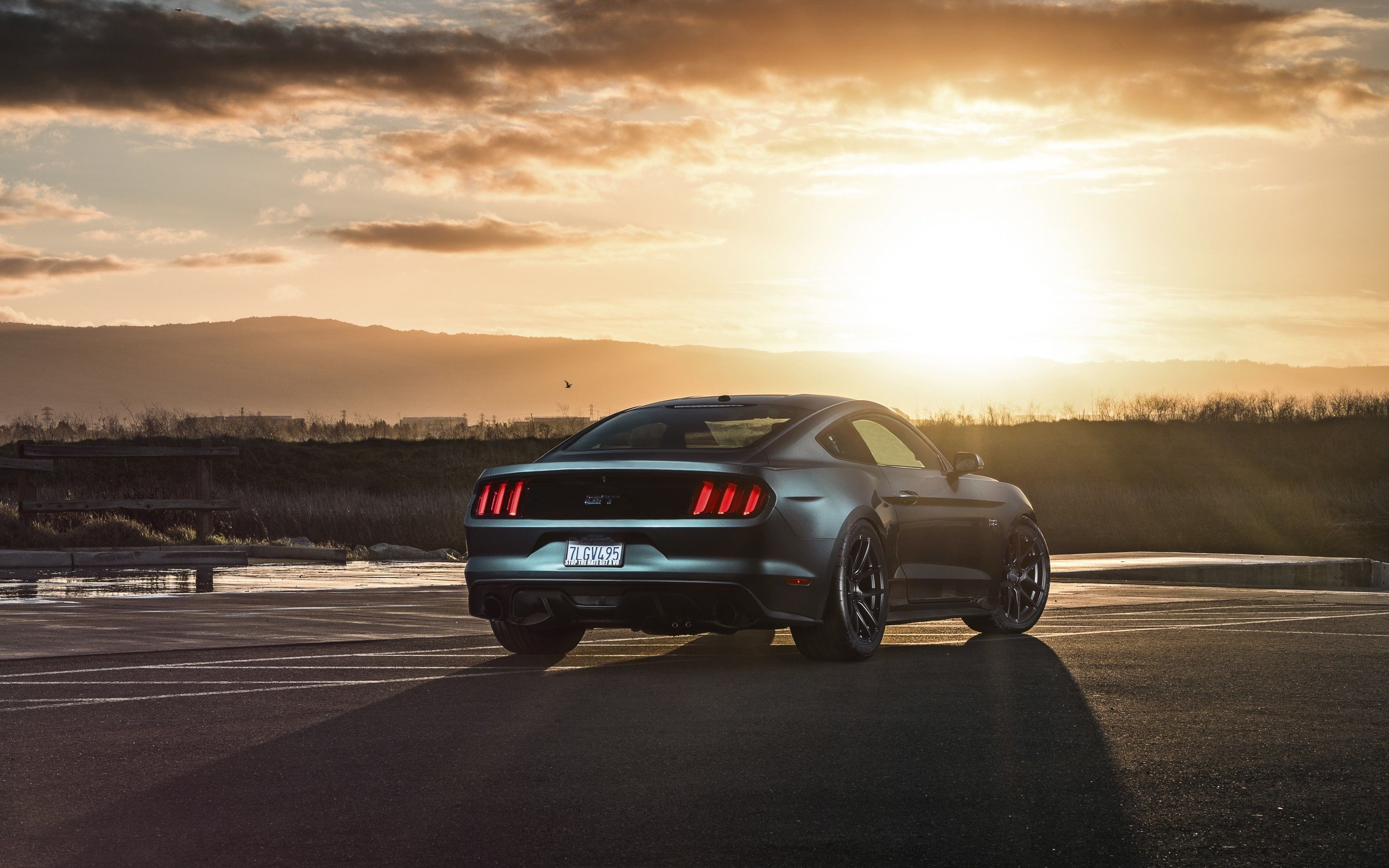 Ford Mustang, Sonnenuntergang, Gegenlicht, Heckansicht, Wasser, 2K, Breitbild-Hintergrundbild