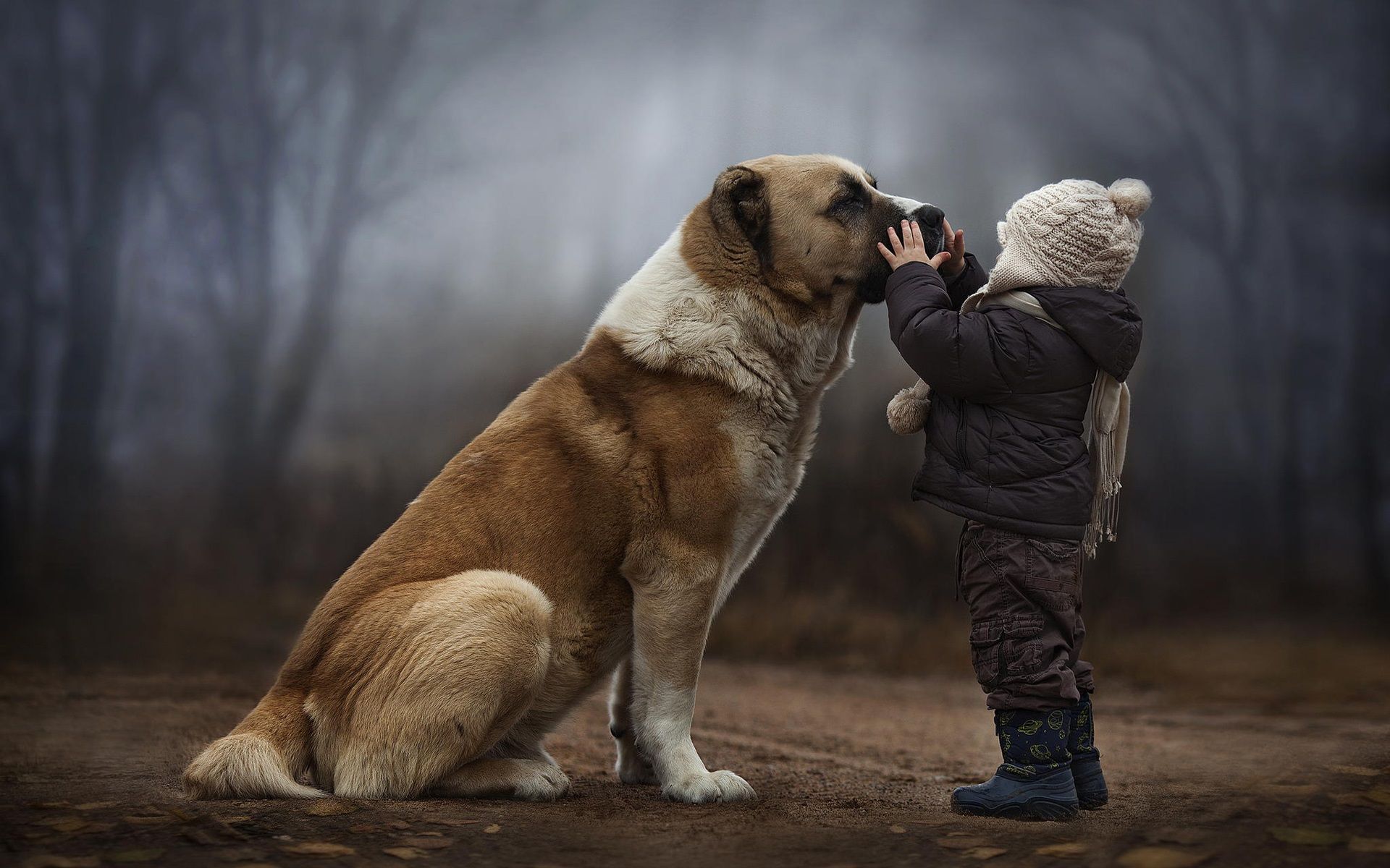 Hund, Kind, Tierfreundschaft, Nebel, Herbst, Full HD, Desktop-Hintergrund für Windows