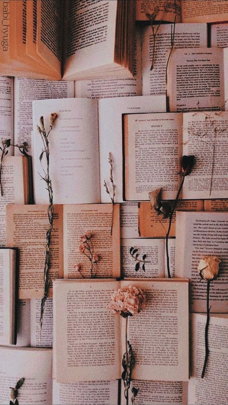Offene Bücher, Getrocknete Rosen, Flatlay, Vintage, Beige, Sperrbildschirm fürs iPhone