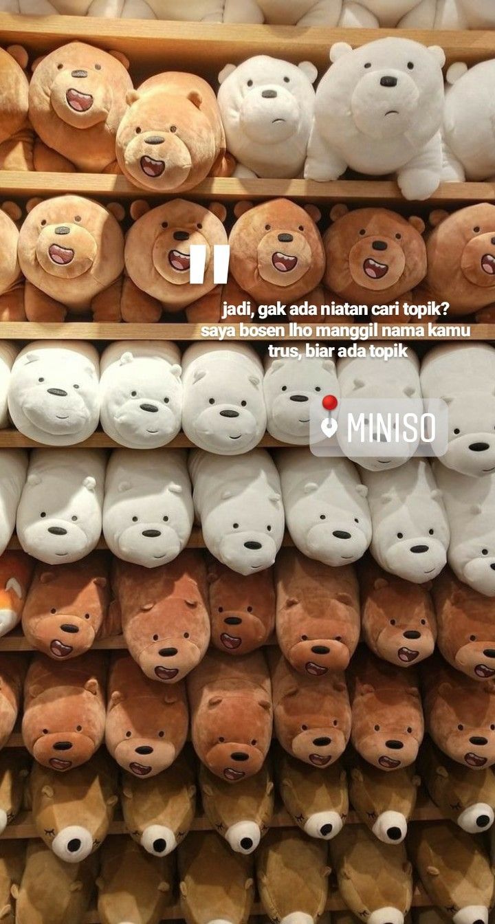 Plüschtiere, Kuscheltiere, Regal, Spielzeugladen, Braun, Sperrbildschirm fürs iPhone