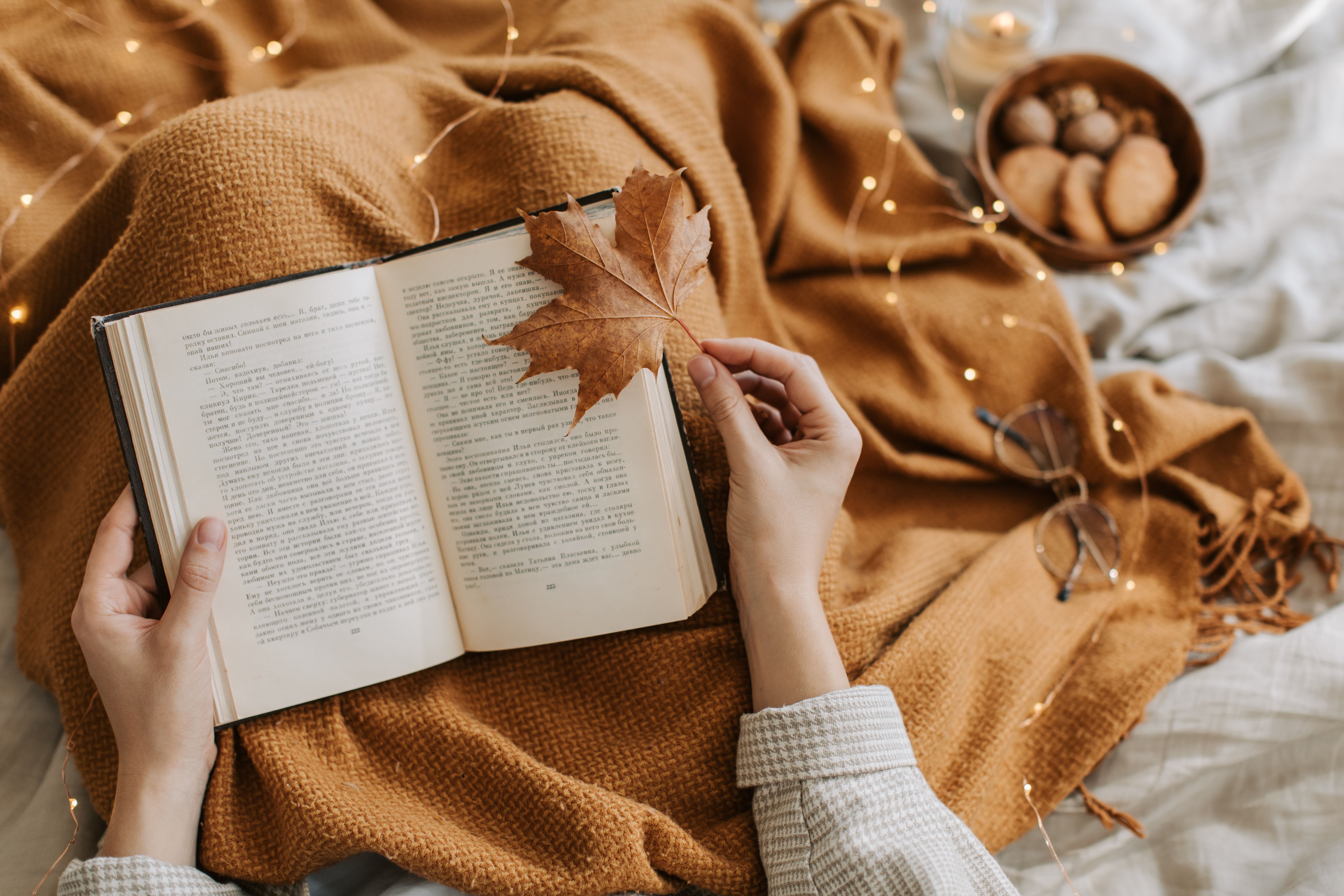 Offenes Buch, Ahornblatt, Herbst, Strickdecke, Hände, Lichterkette, 6K, Laptop-Hintergrundbild