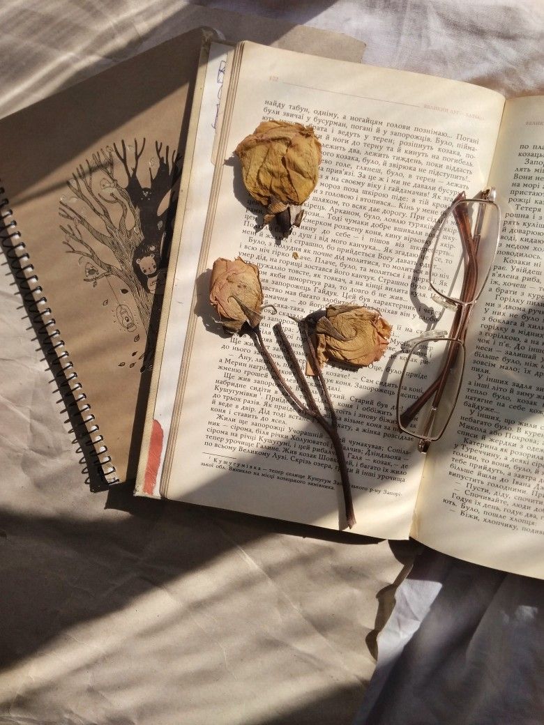 Offenes Buch, Getrocknete Rosen, Brille, Sonnenlicht, Vintage, HD, Tablet-Hintergrund