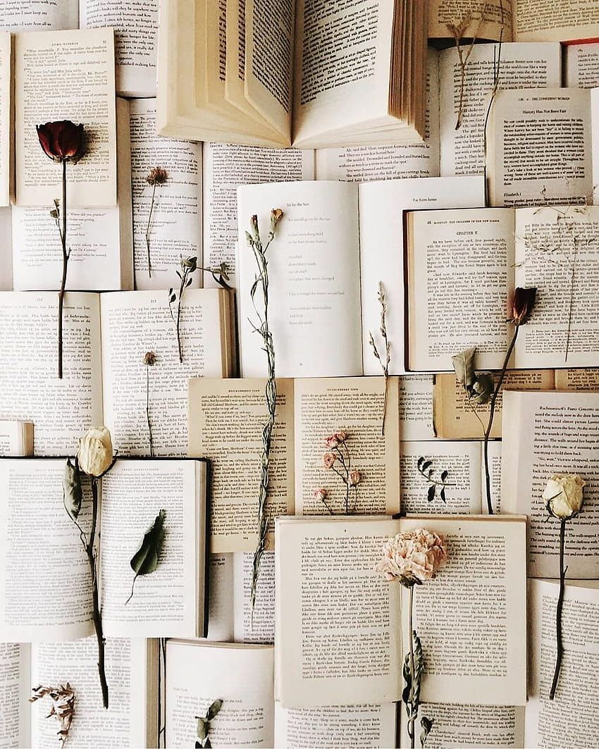 Offene Bücher, Getrocknete Rosen, Flatlay, Vintage, Weiße Töne, Hintergrundbild fürs Tablet