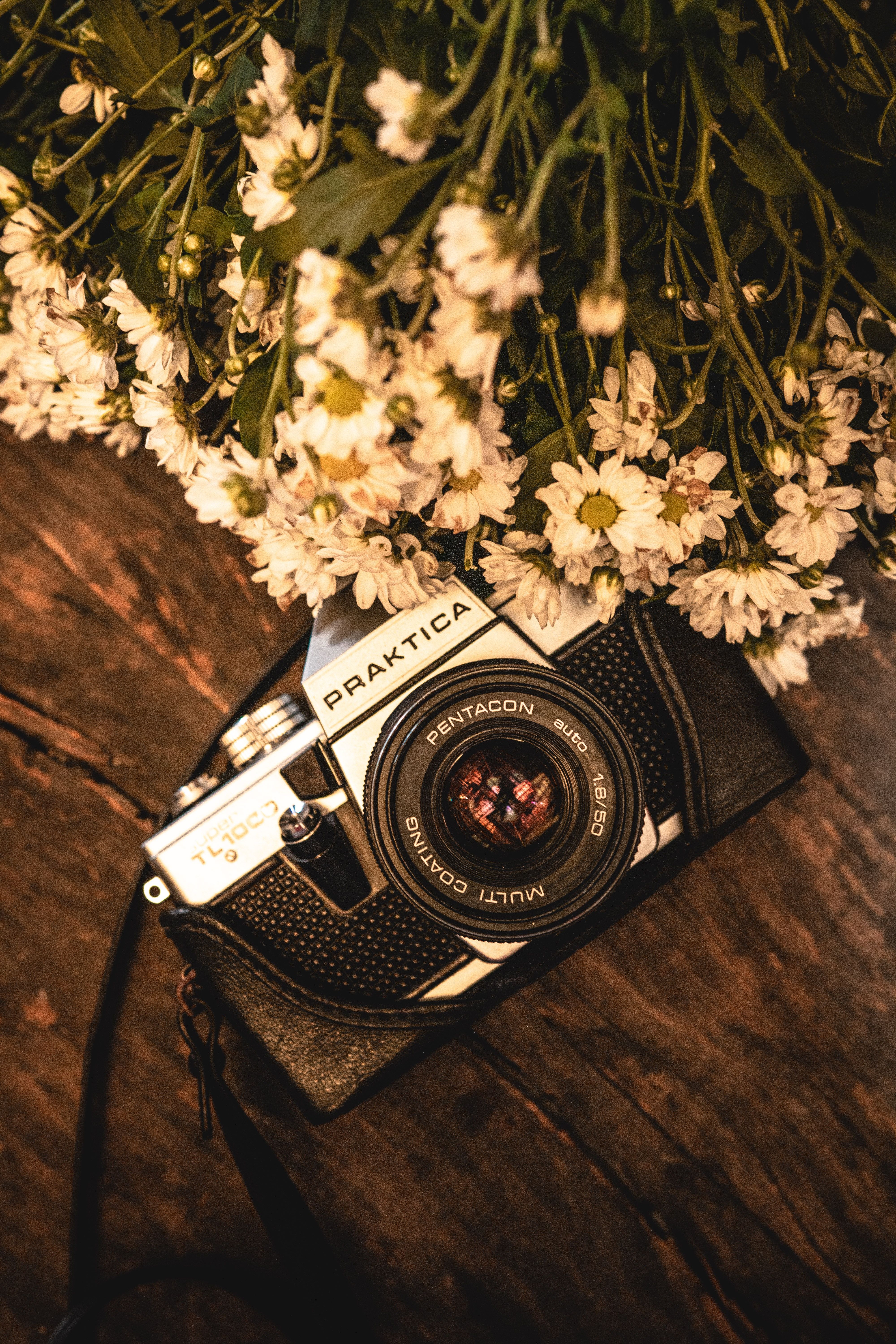 Spiegelreflexkamera, Analoge Kamera, Blumen, Holz, Warmes Licht, QHD+, Handy-Hintergrund