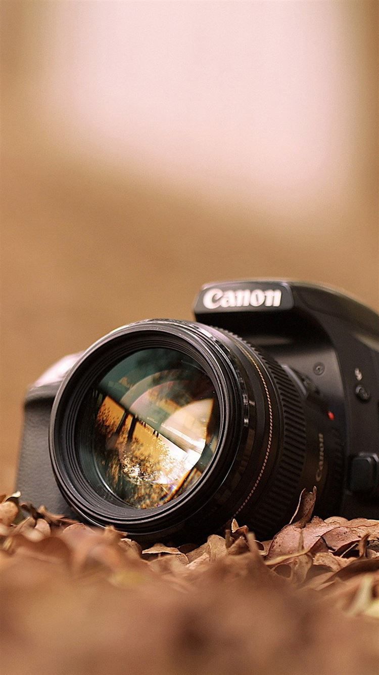 Canon, Spiegelreflexkamera, Objektiv, Unschärfe, Braun, Hintergrundbild für iPhone und Android