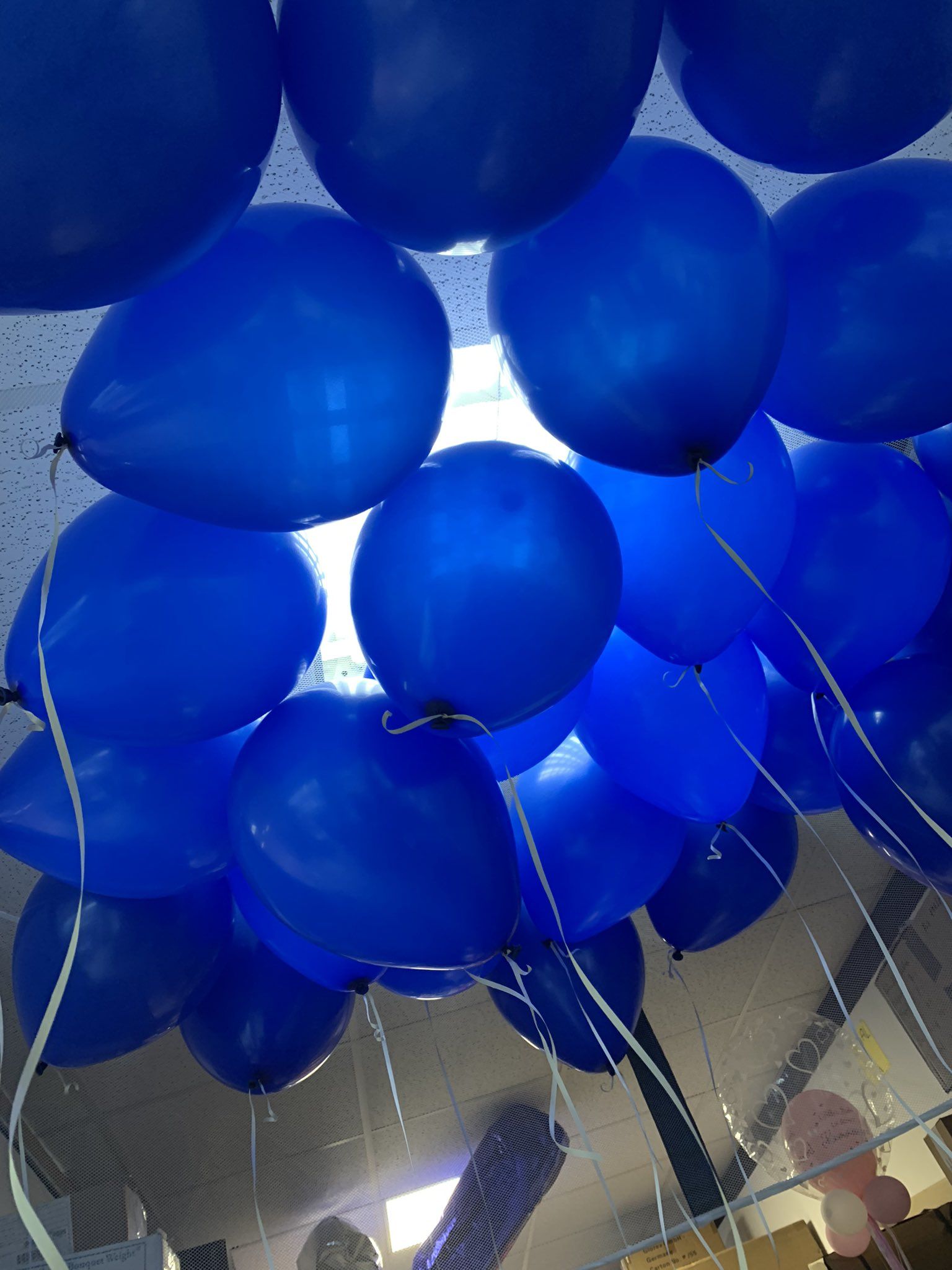 Luftballons, Blau, Decke, Party, QHD+, Hintergrundbild fürs Tablet