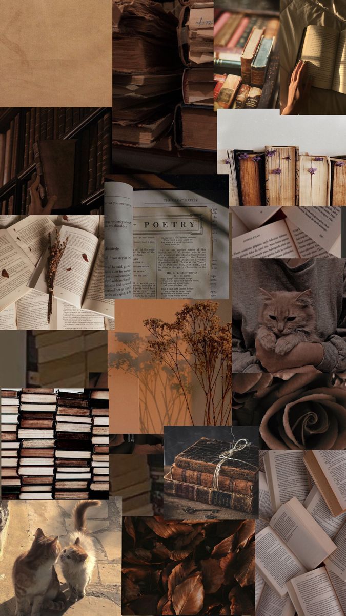 Collage, Bibliothek, Bücher, Braune Töne, Dark Academia, Android-Hintergrundbild
