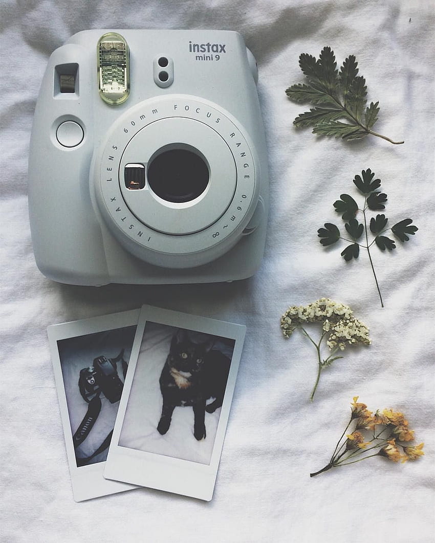 Instax Mini, Fujifilm, Sofortbildkamera, Polaroid-Fotos, Blätter, Flatlay, HD, iPad-Hintergrundbild
